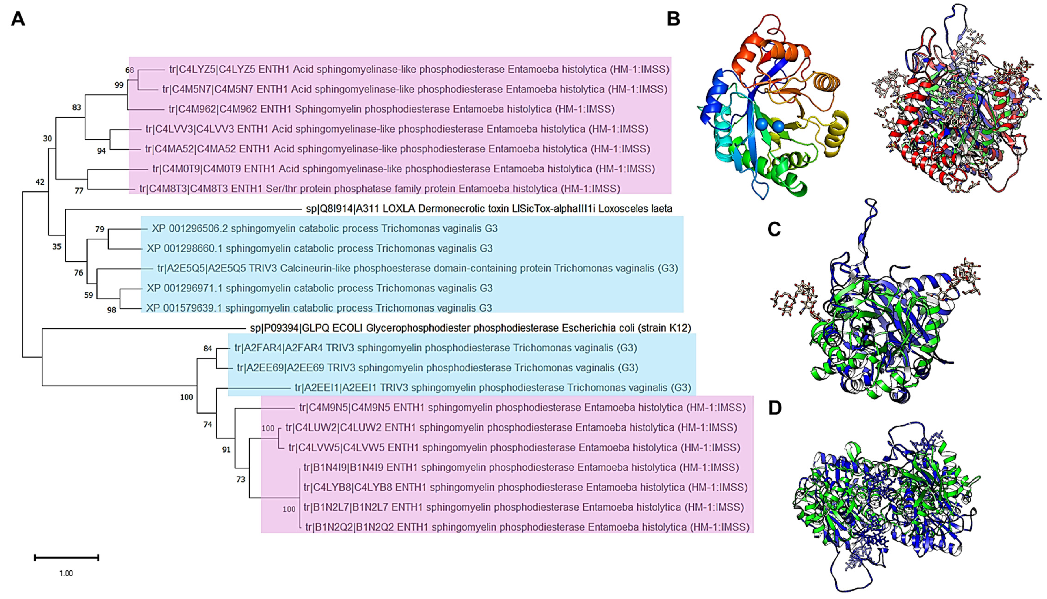 Pathogens 14 00032 g010