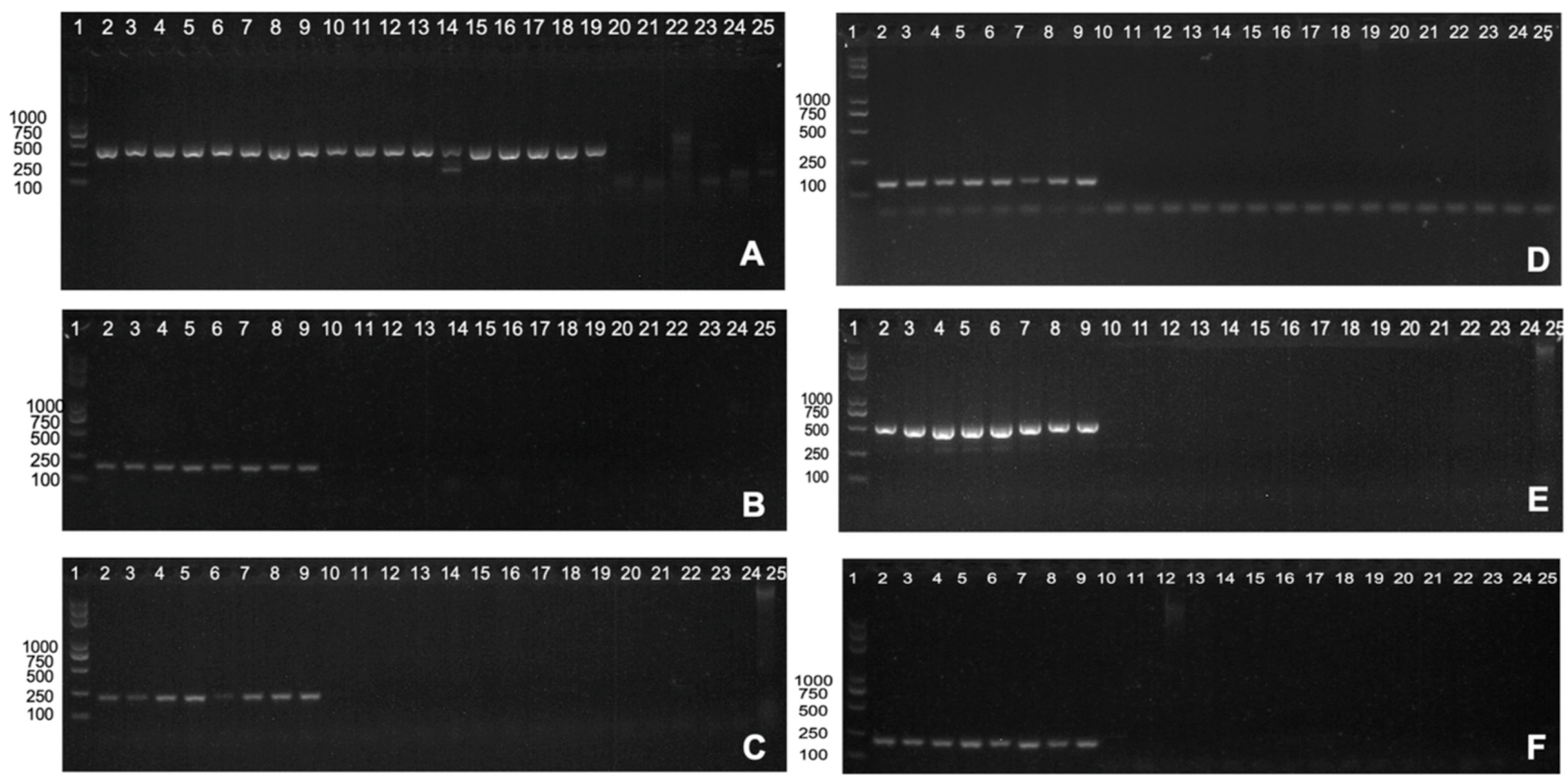 Pathogens 14 00035 g003