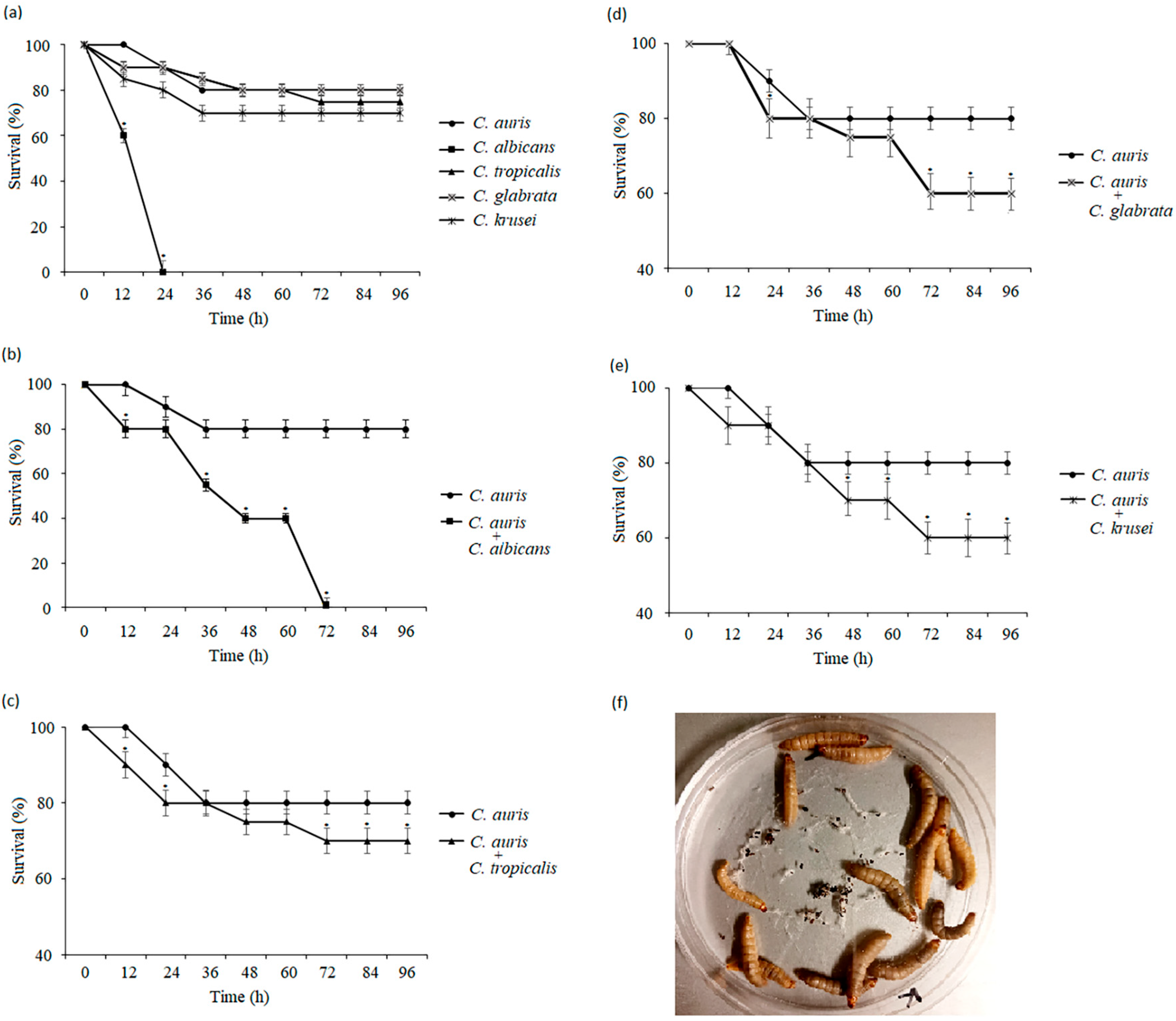 Pathogens 14 00040 g005