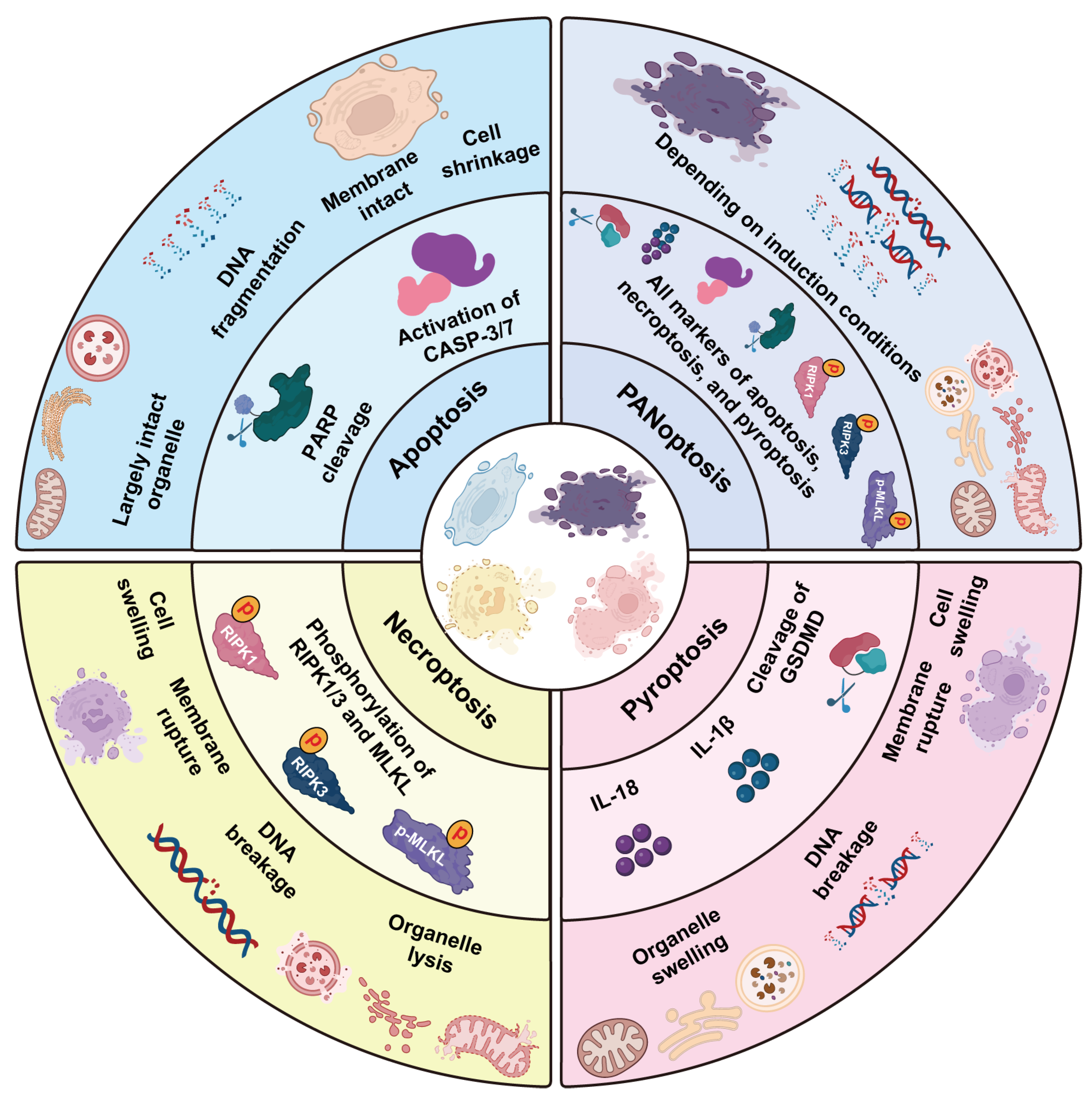 Pathogens 14 00043 g001