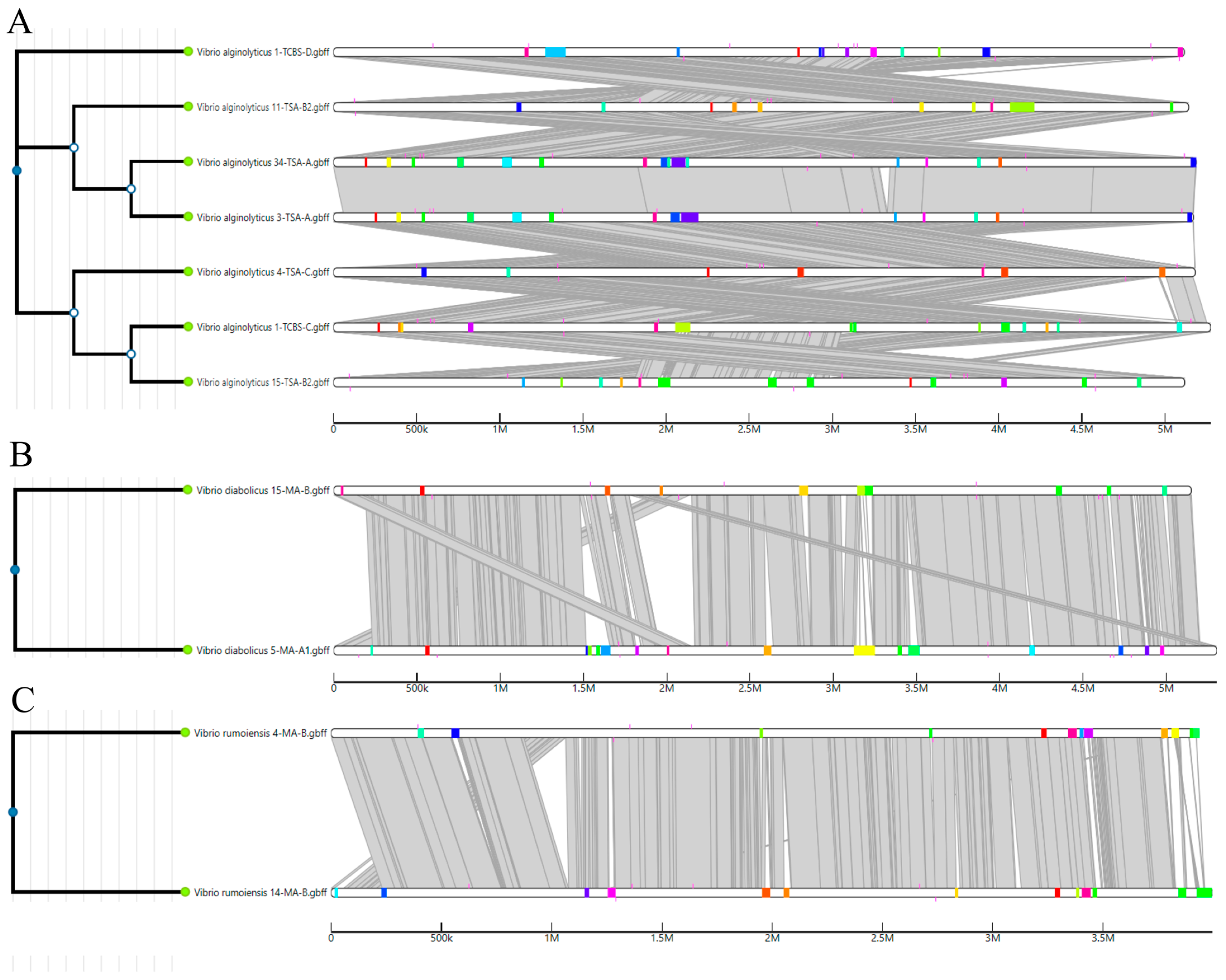 Pathogens 14 00052 g004