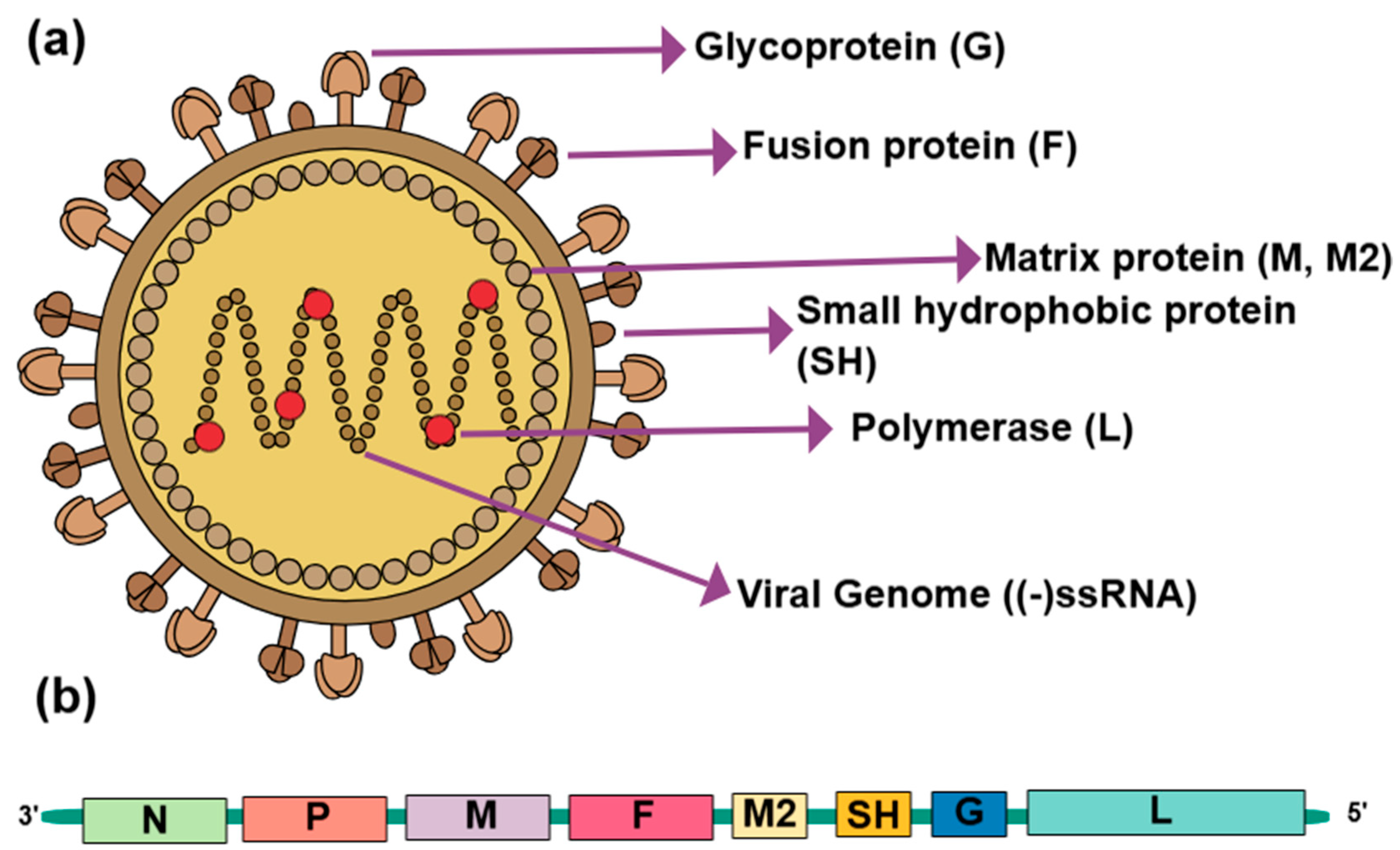 Pathogens 14 00055 g002 Pathogens 14 00055 g002