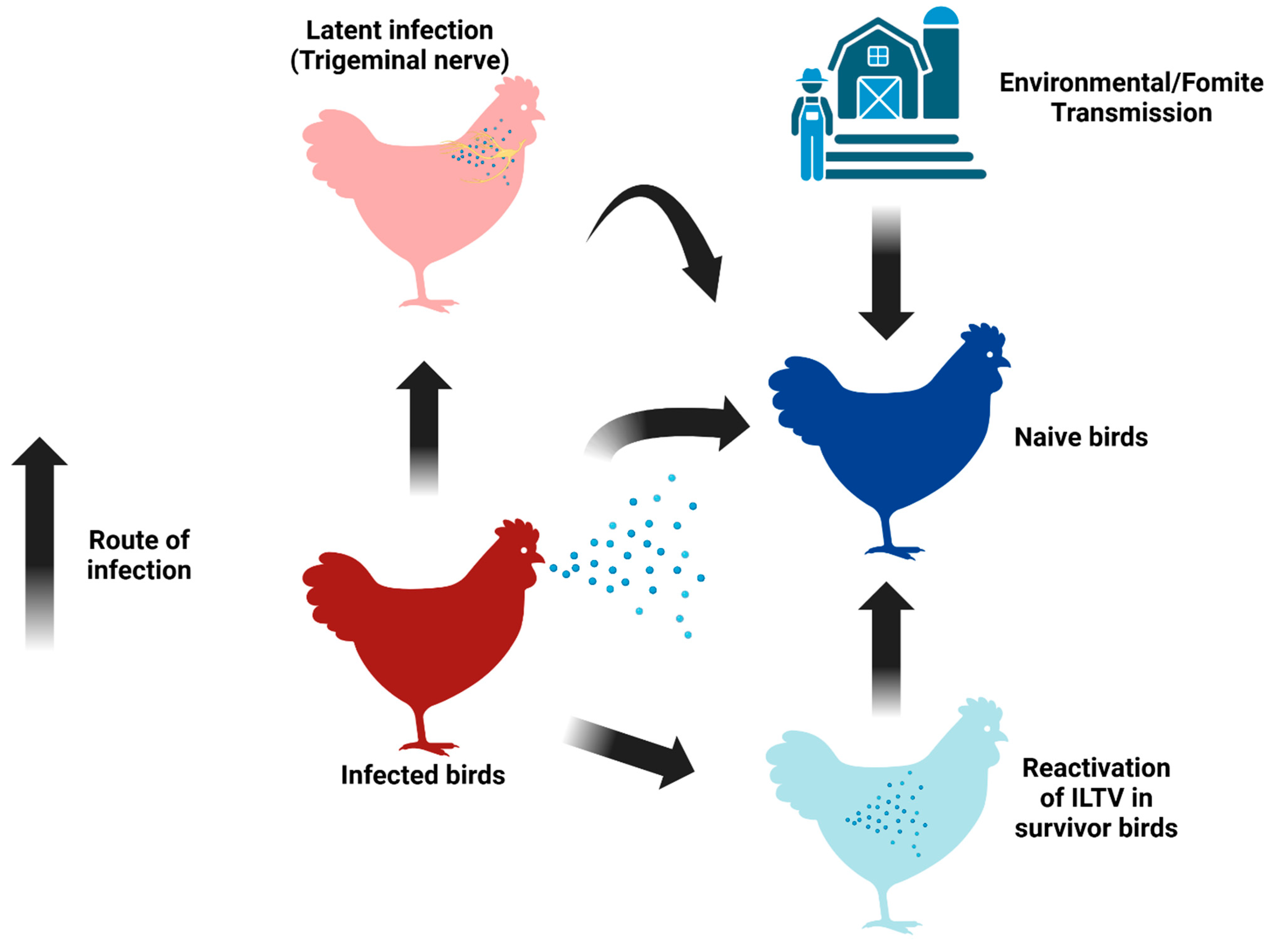 Pathogens 14 00055 g003 Pathogens 14 00055 g003