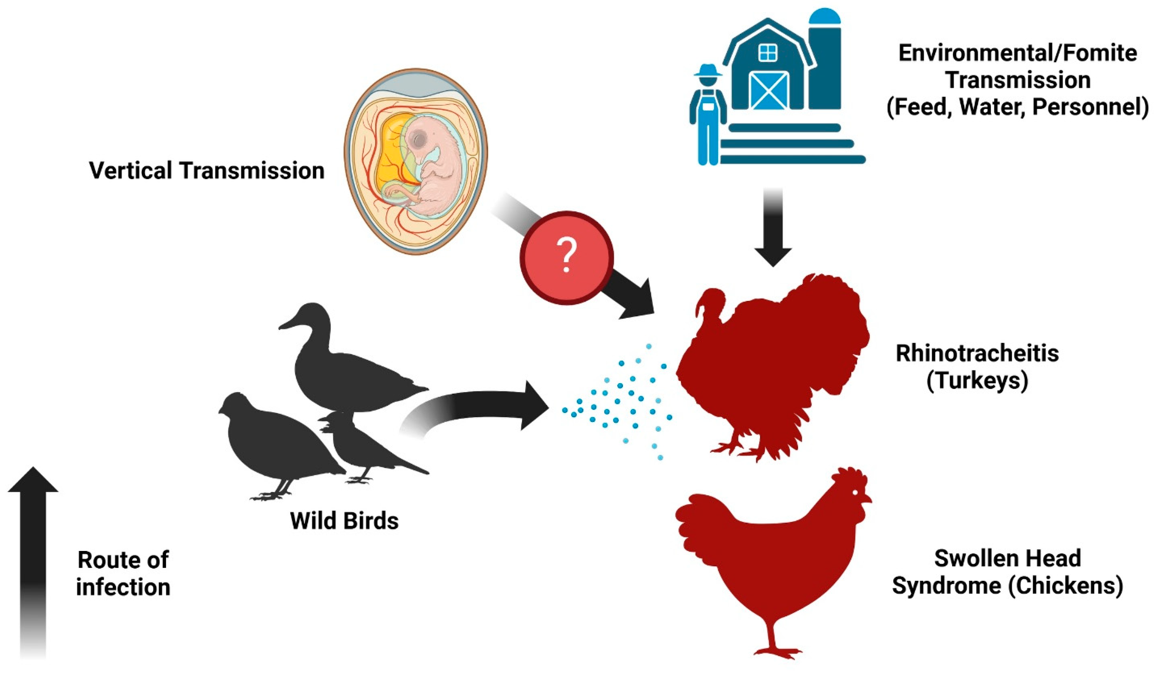 Pathogens 14 00055 g004 Pathogens 14 00055 g004