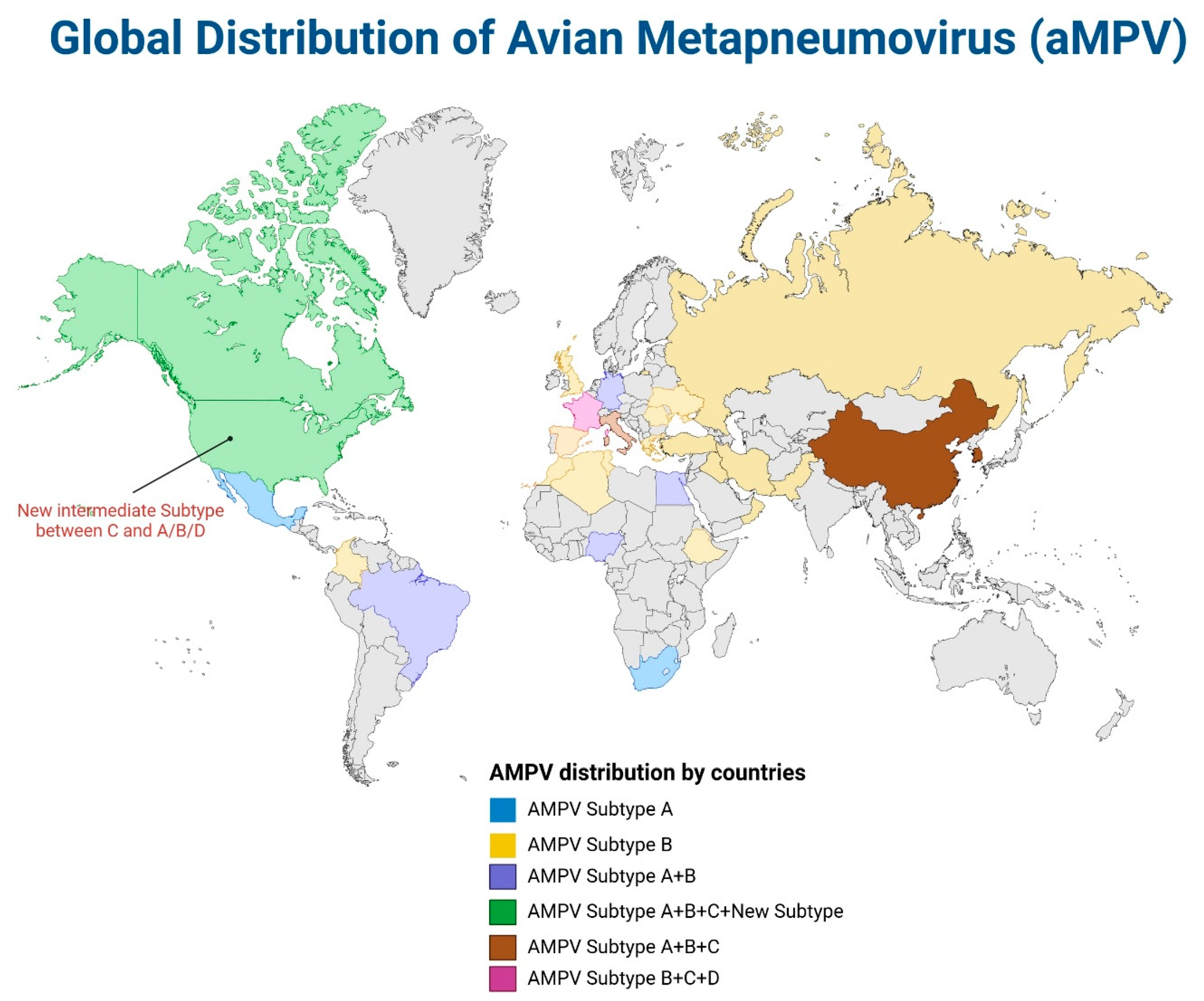 Pathogens 14 00055 g006 Pathogens 14 00055 g006