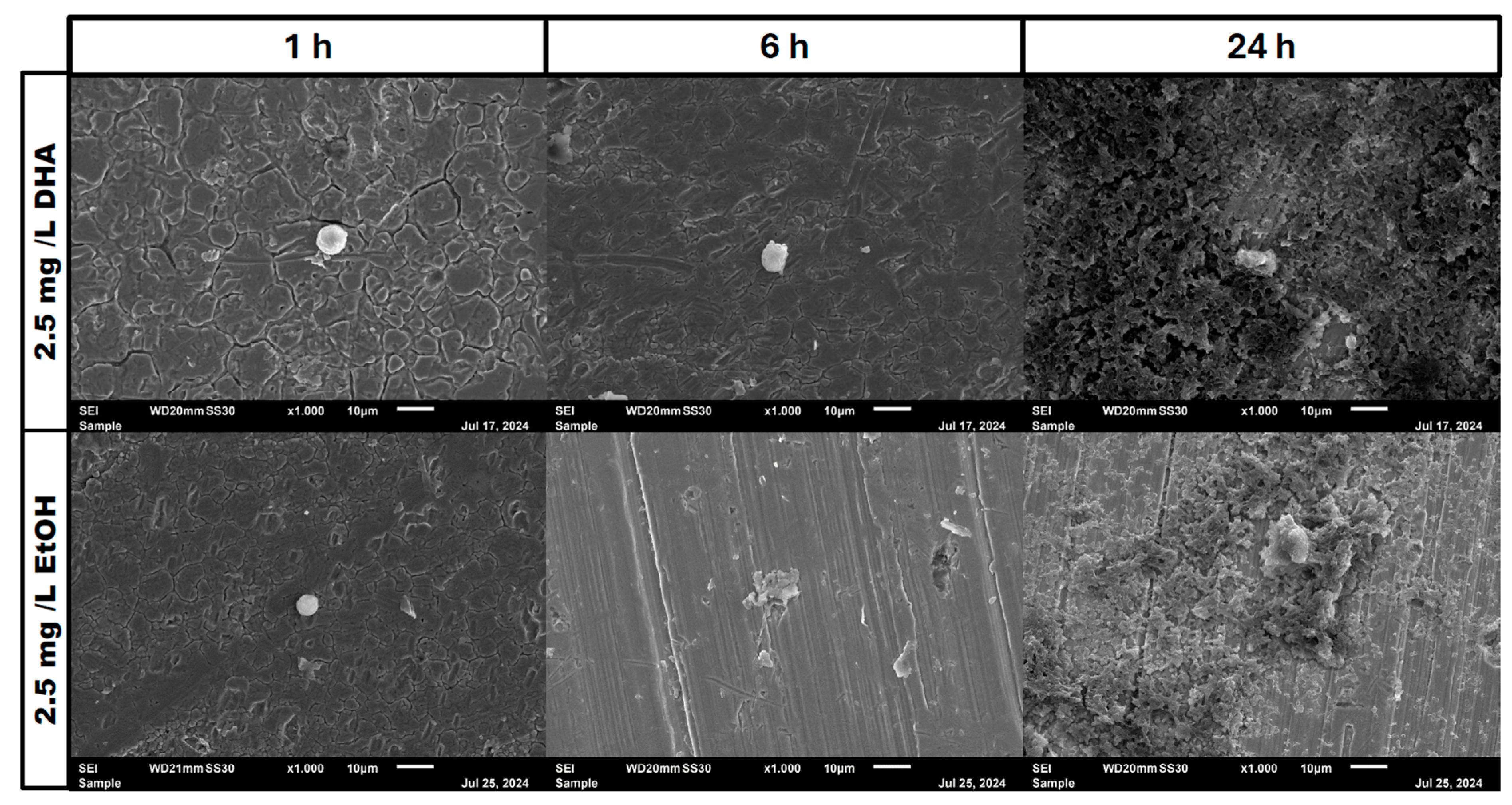 Pathogens 14 00057 g006