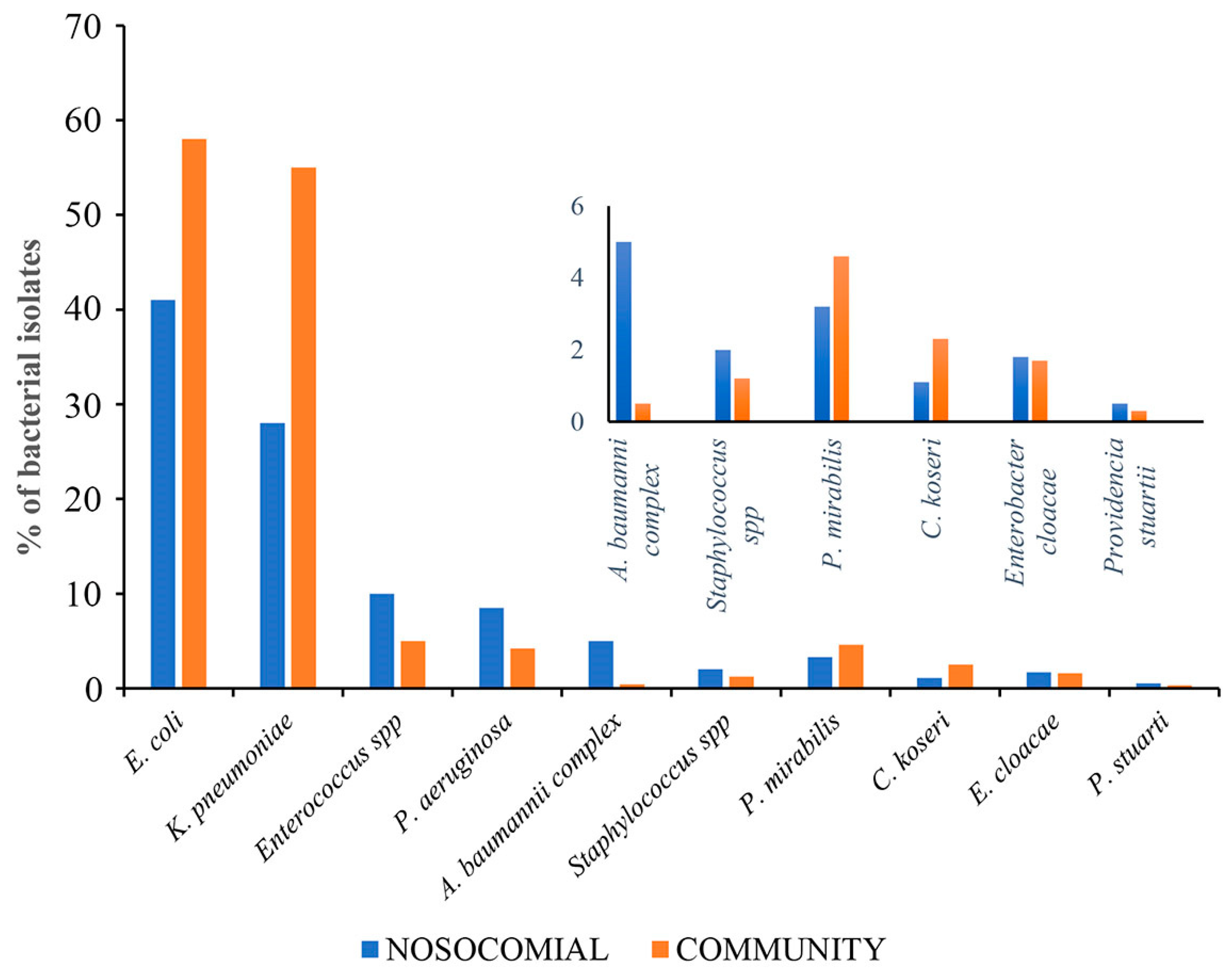 Pathogens 14 00059 g001
