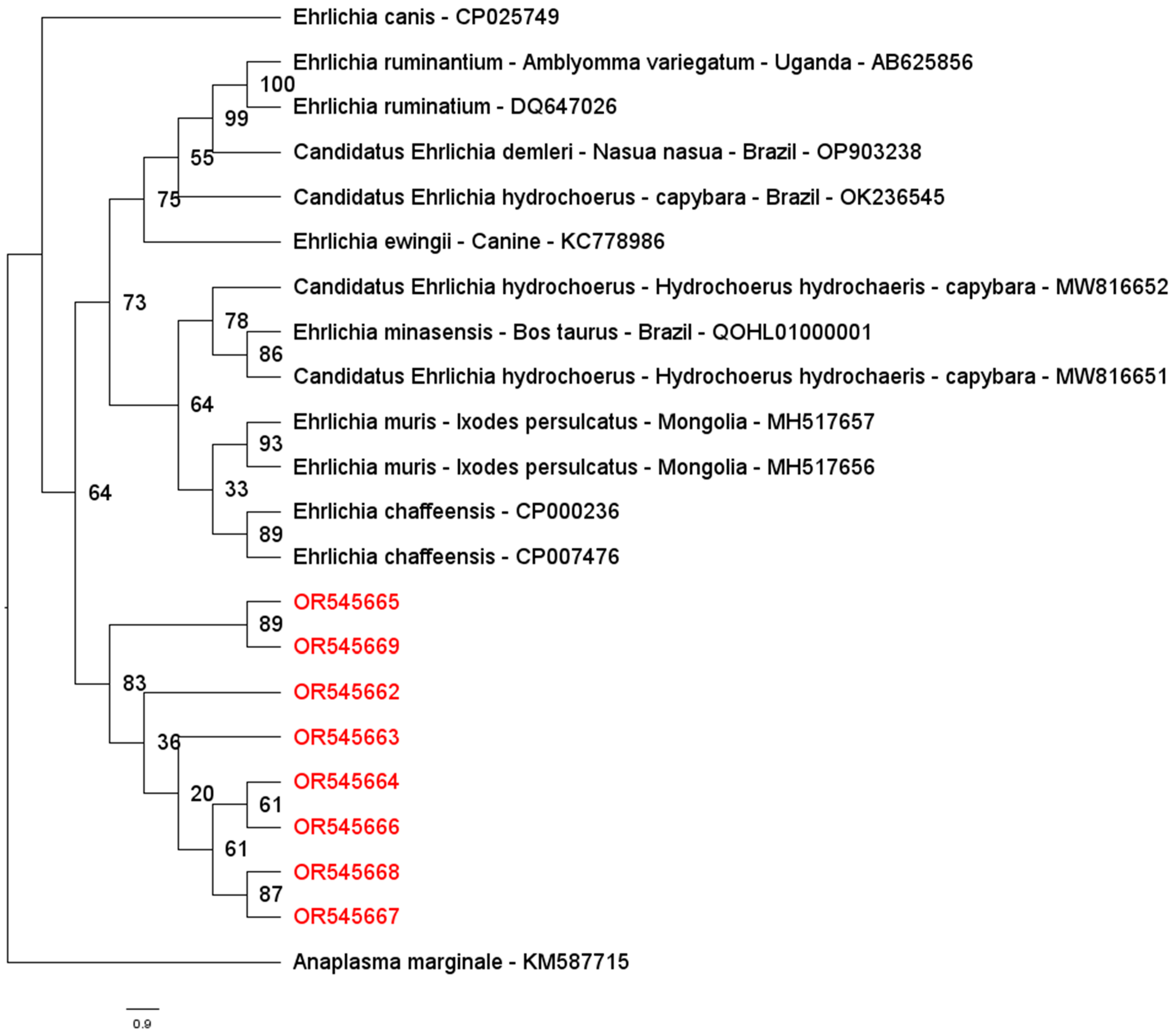 Pathogens 14 00065 g002