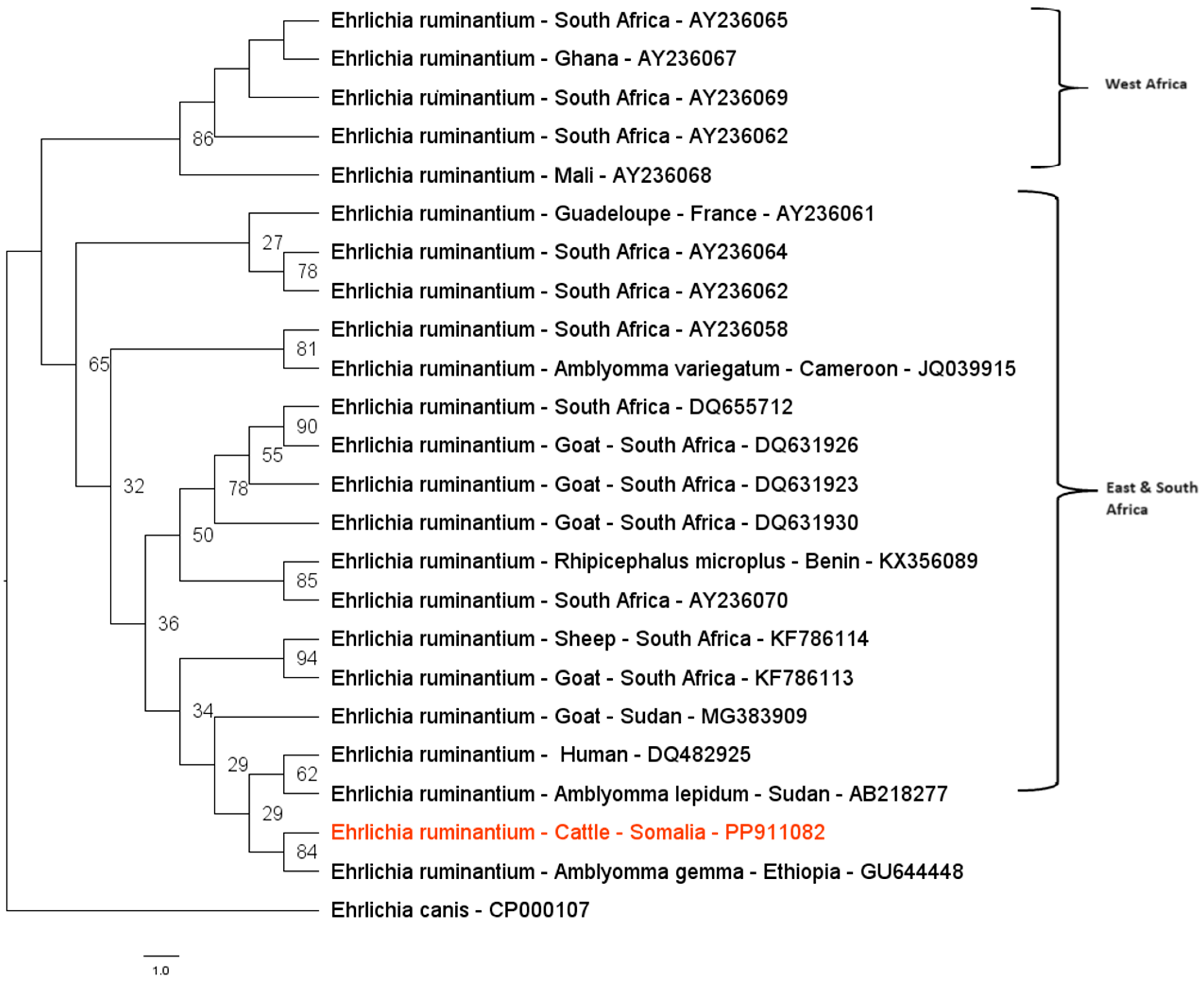 Pathogens 14 00065 g003