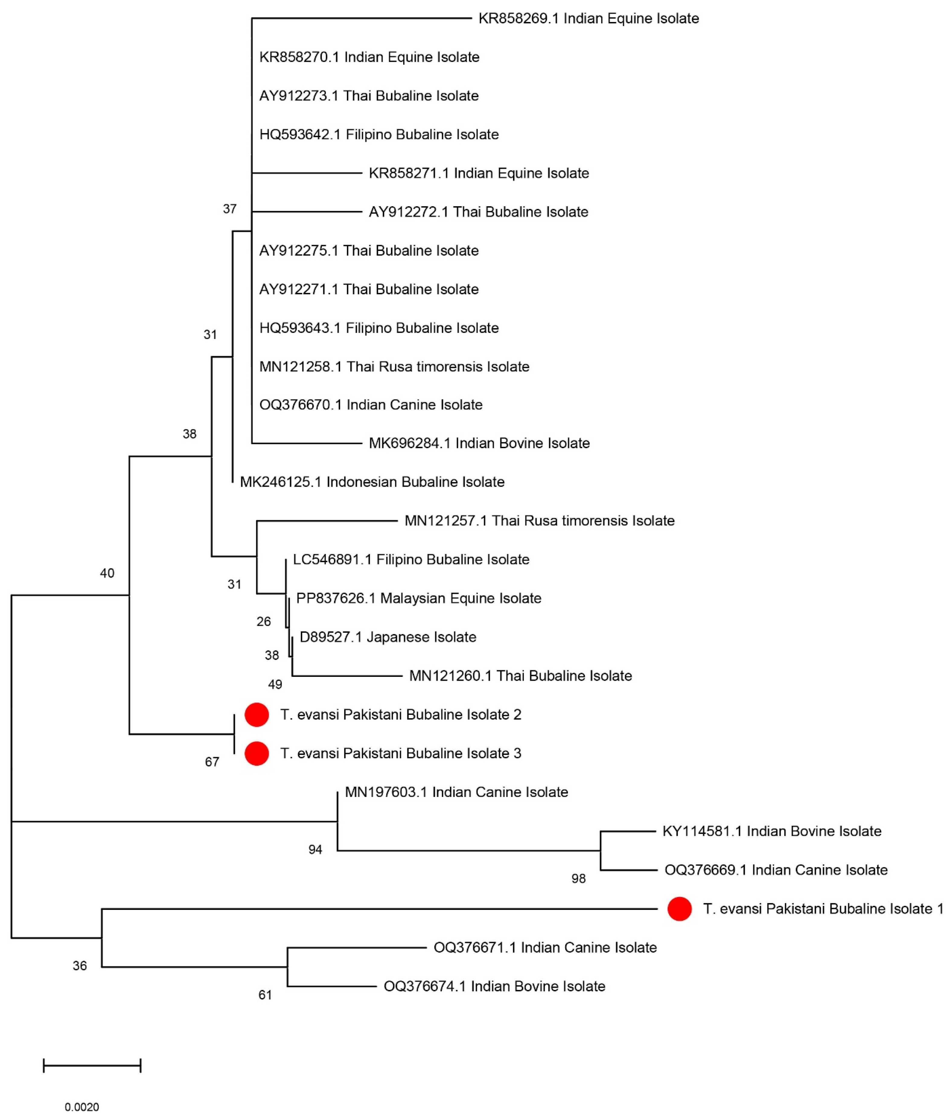 Pathogens 14 00066 g003
