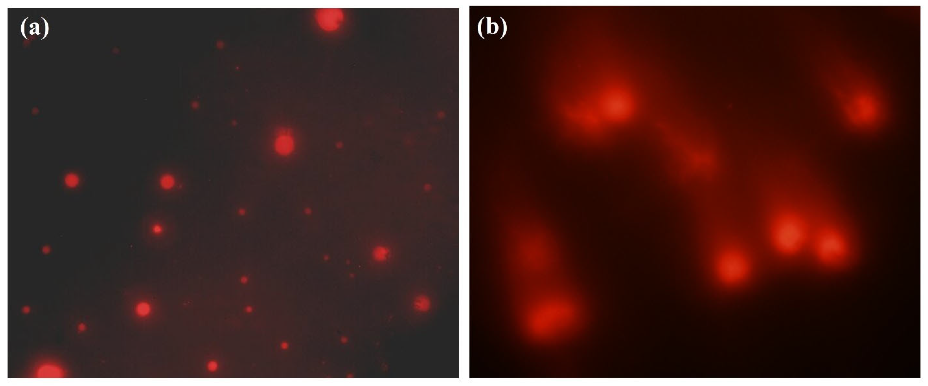 Pathogens 14 00066 g005