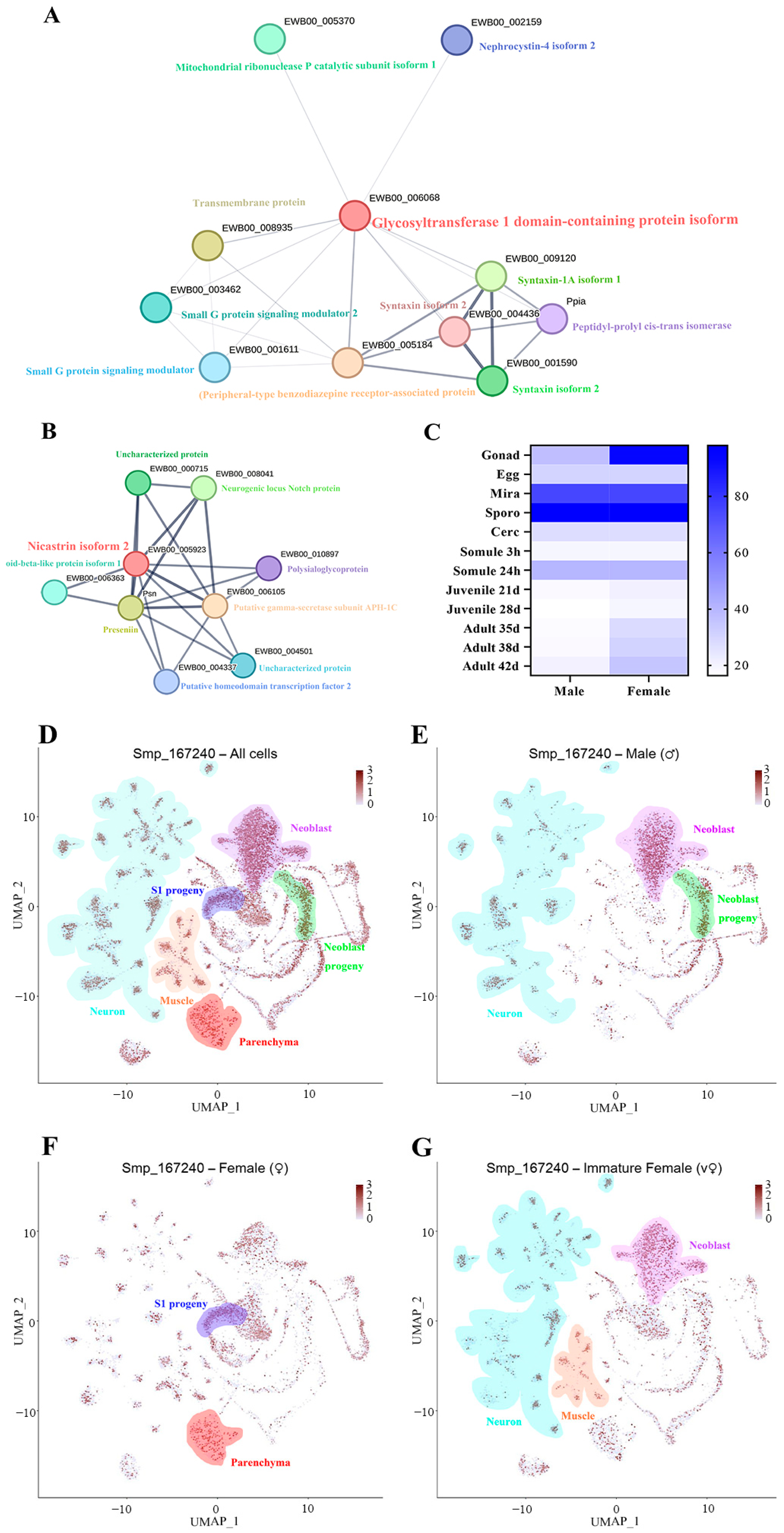 Pathogens 14 00070 g002