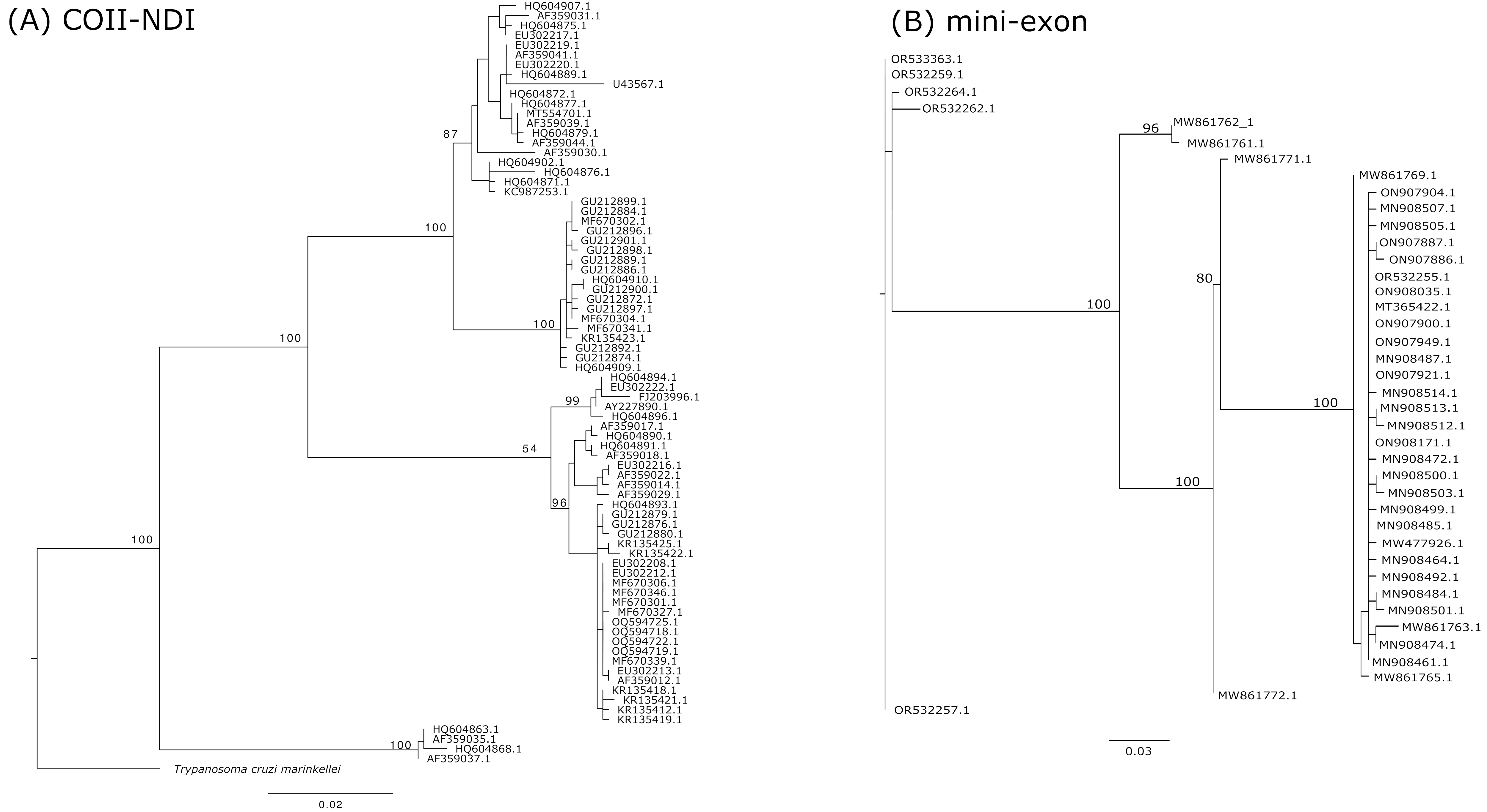 Pathogens 14 00072 g002