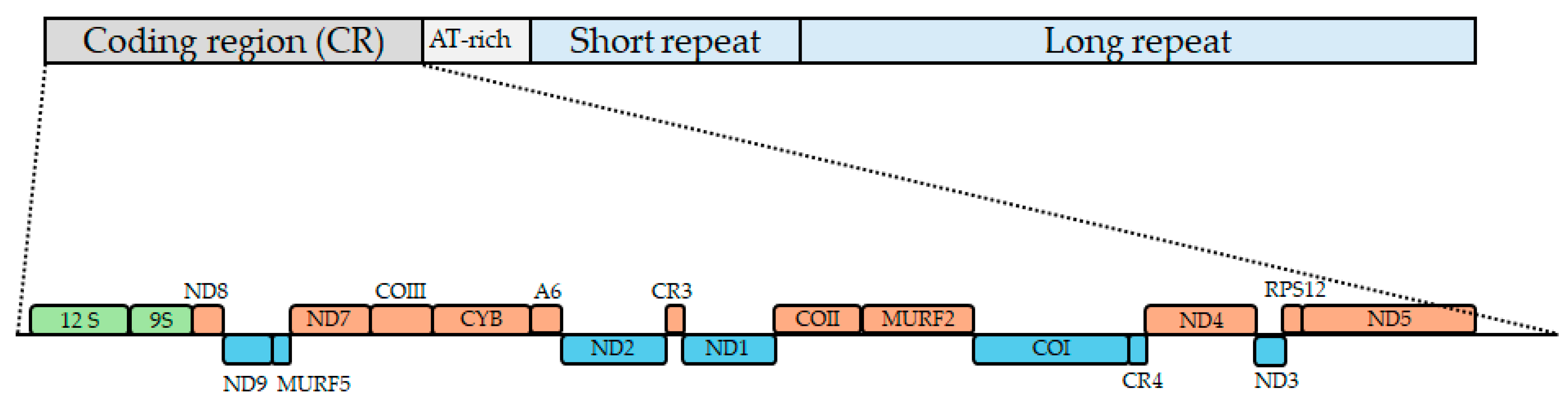 Pathogens 14 00073 g001 Pathogens 14 00073 g001