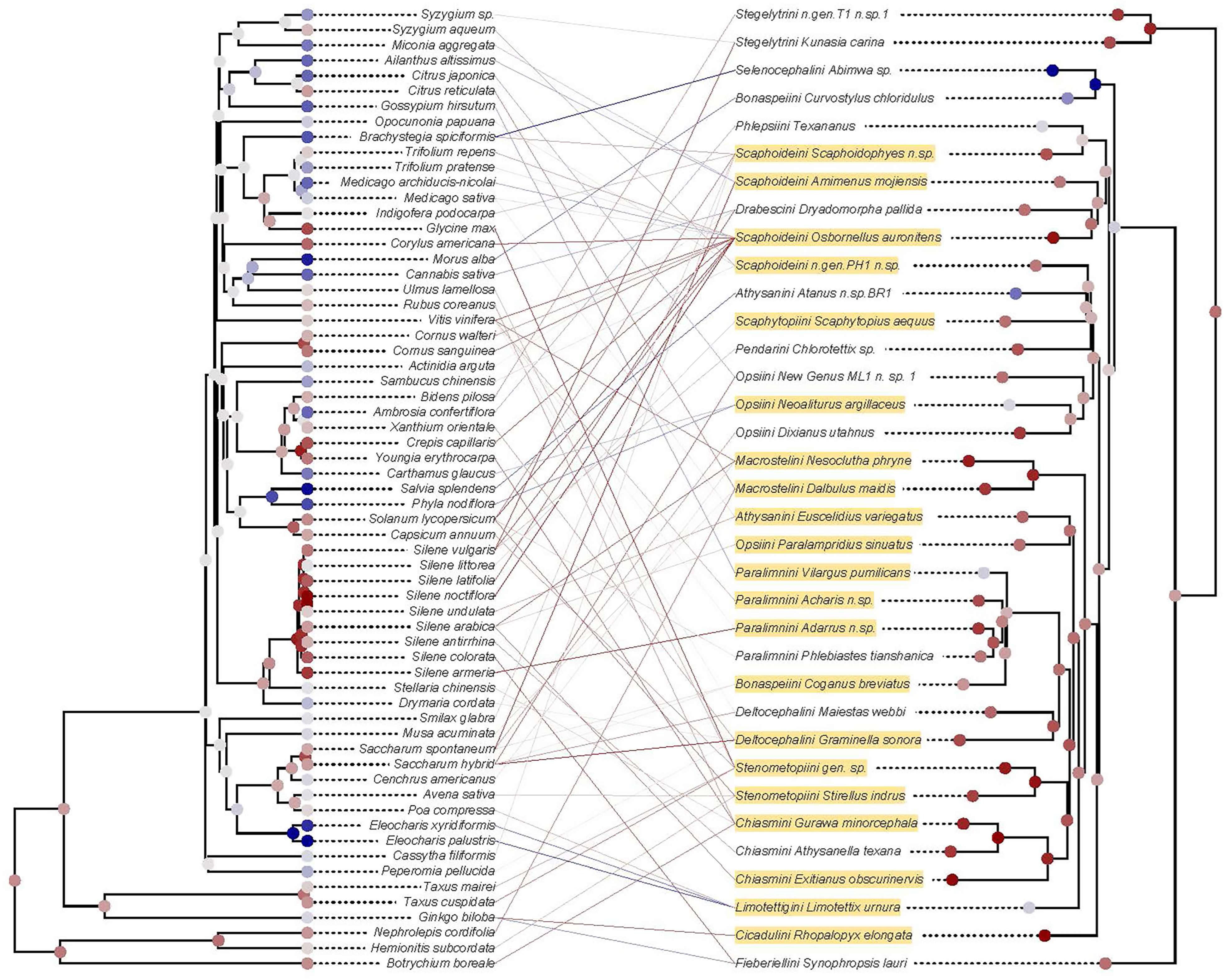 Pathogens 14 00074 g002