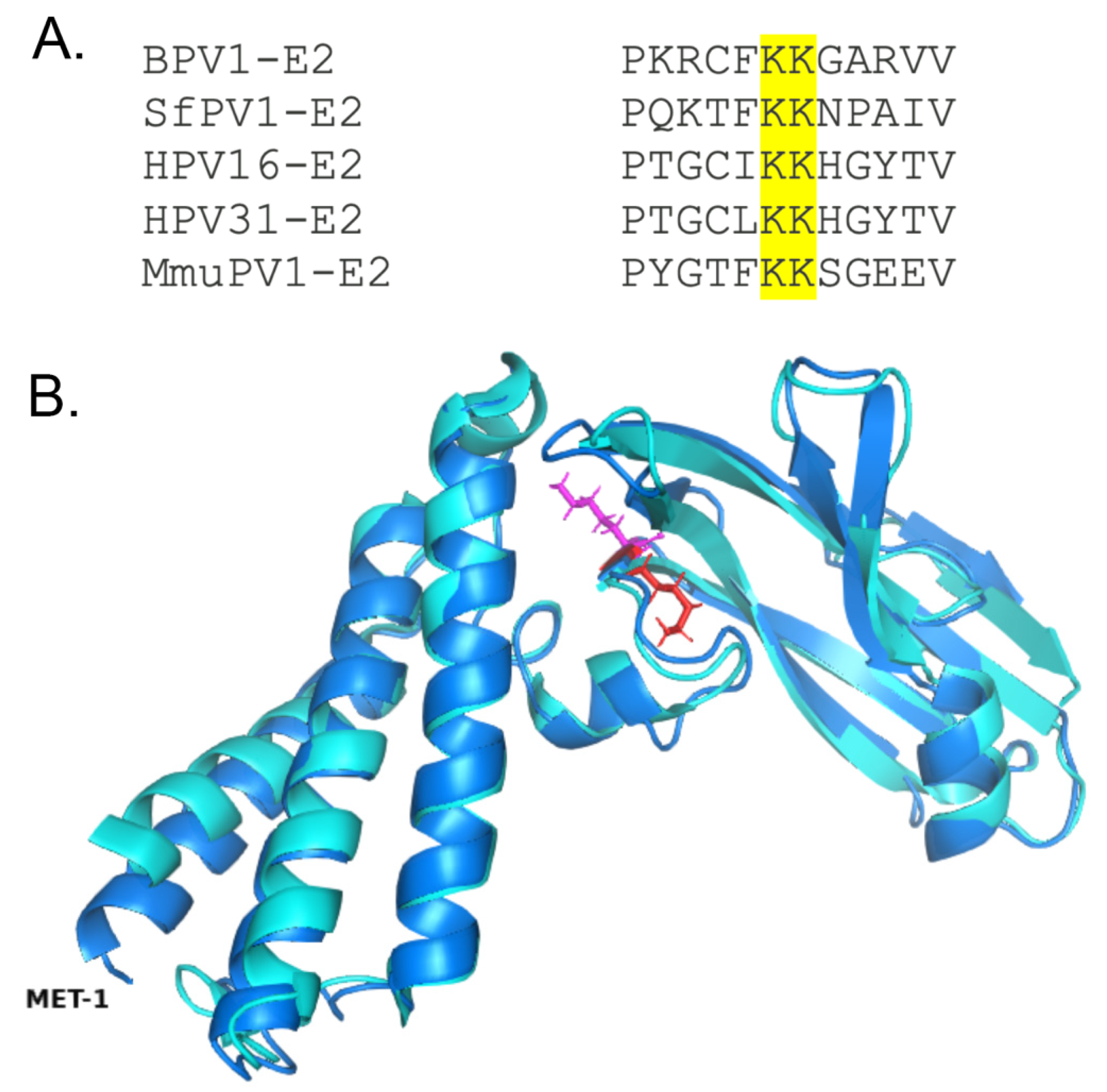 Pathogens 14 00084 g001