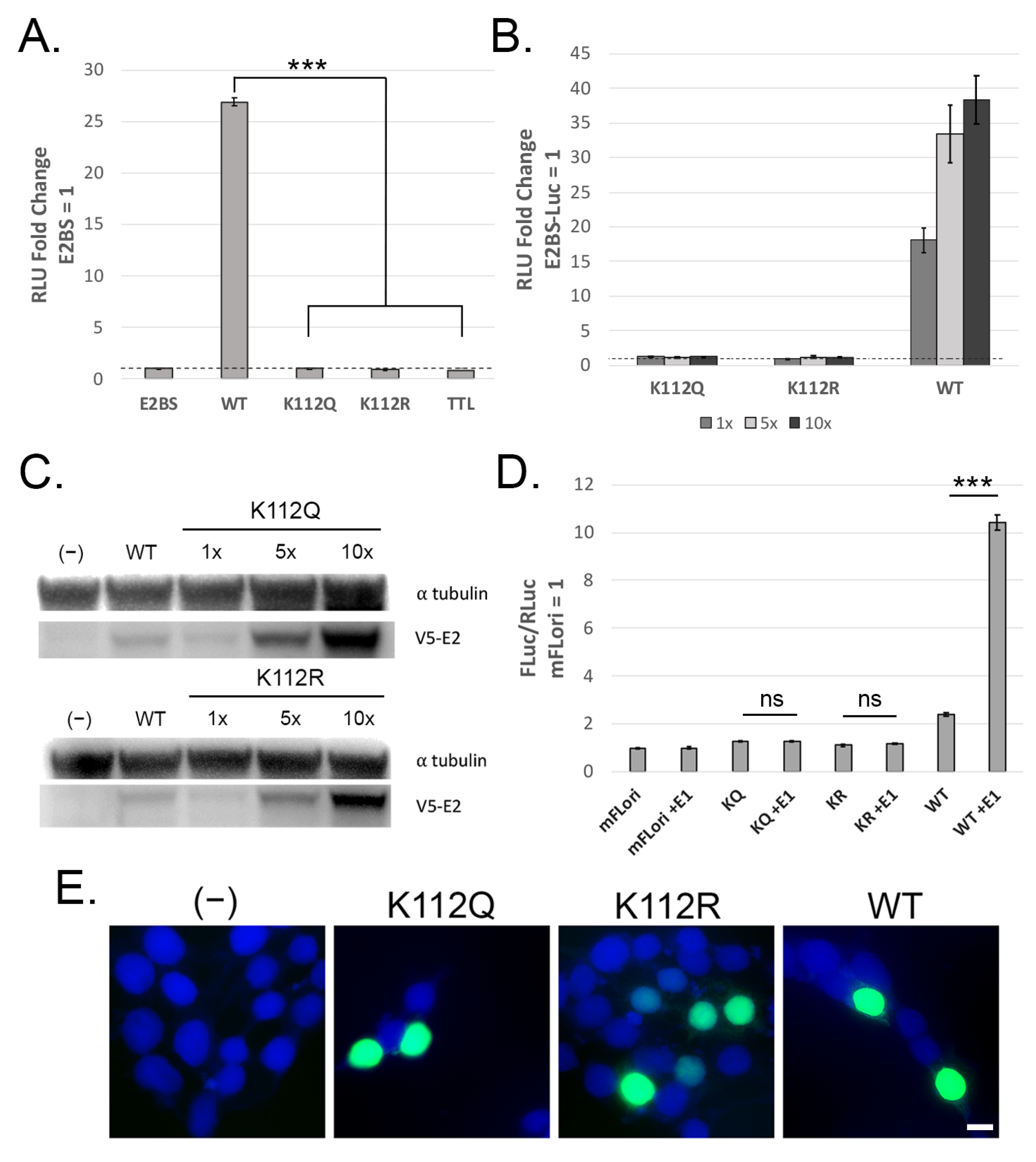 Pathogens 14 00084 g002