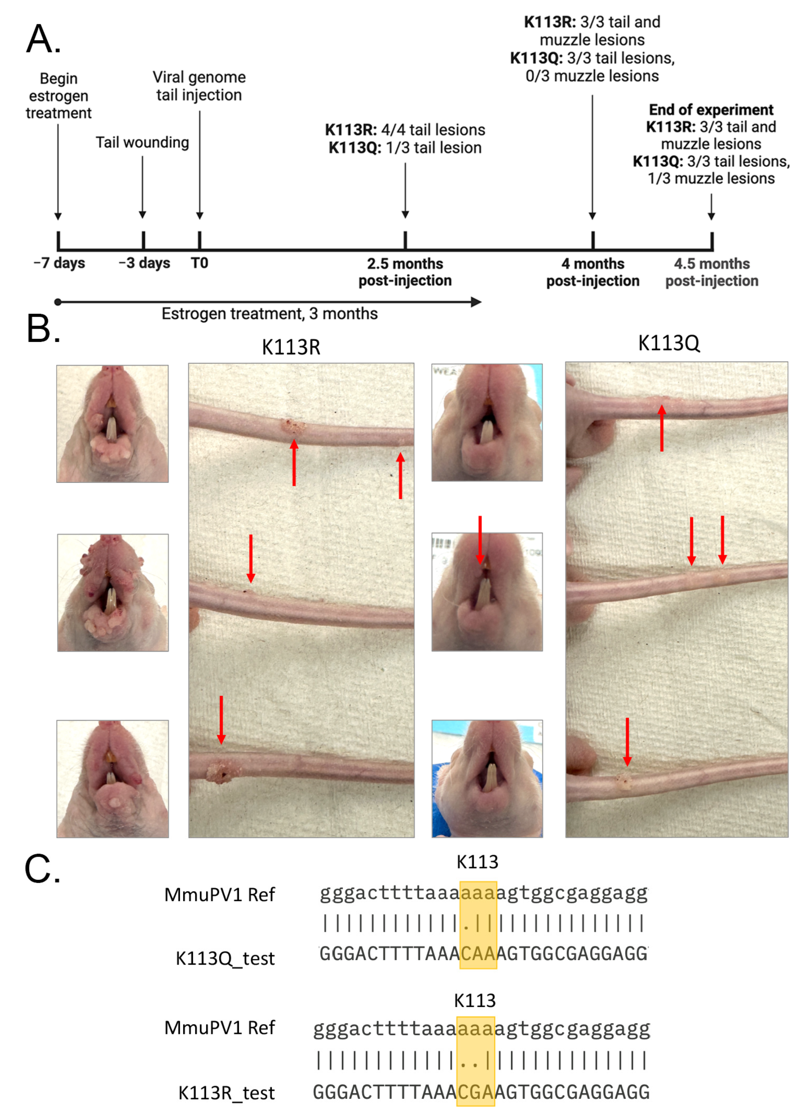 Pathogens 14 00084 g007