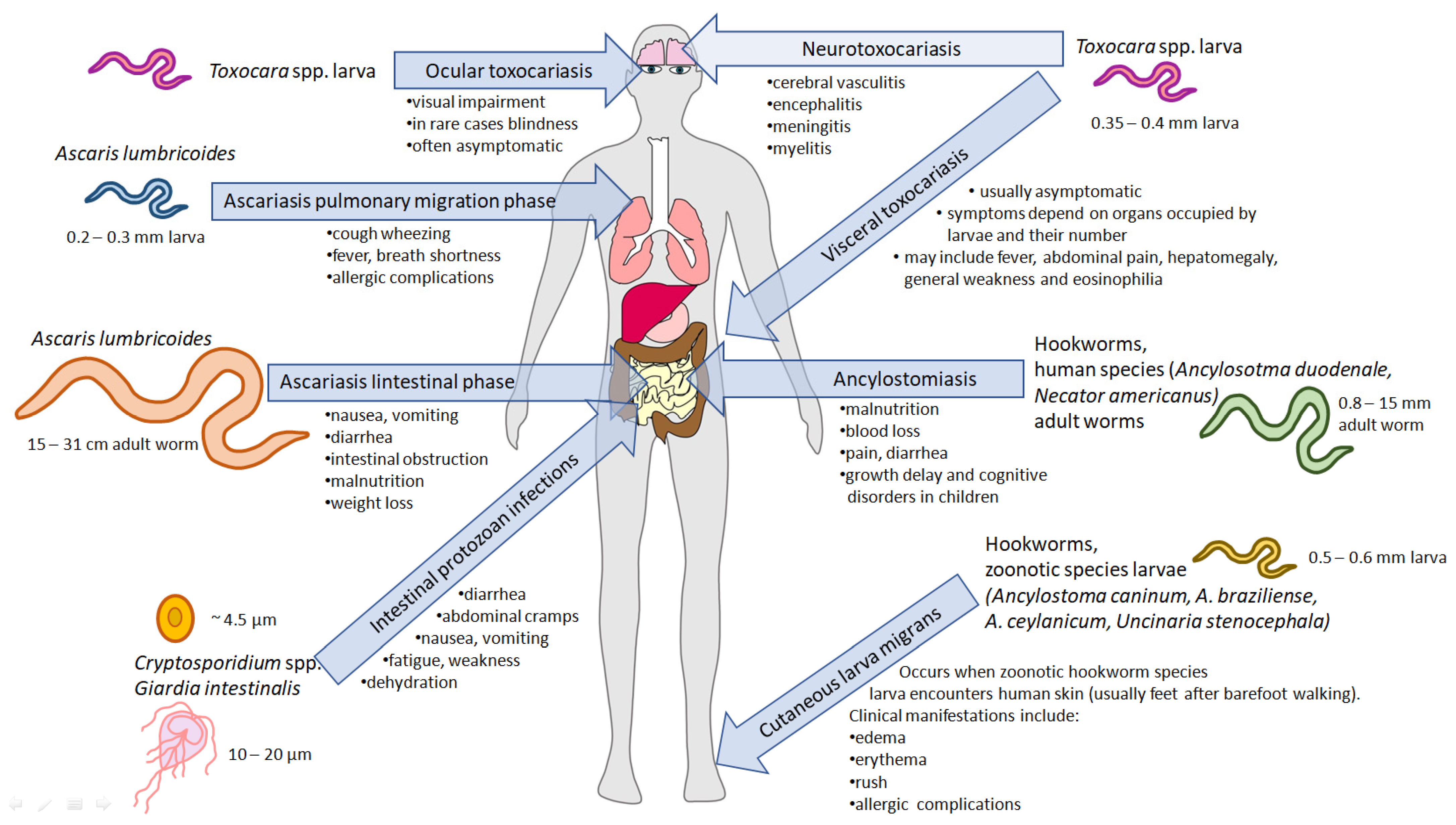 Pathogens 14 00086 g001 Pathogens 14 00086 g001