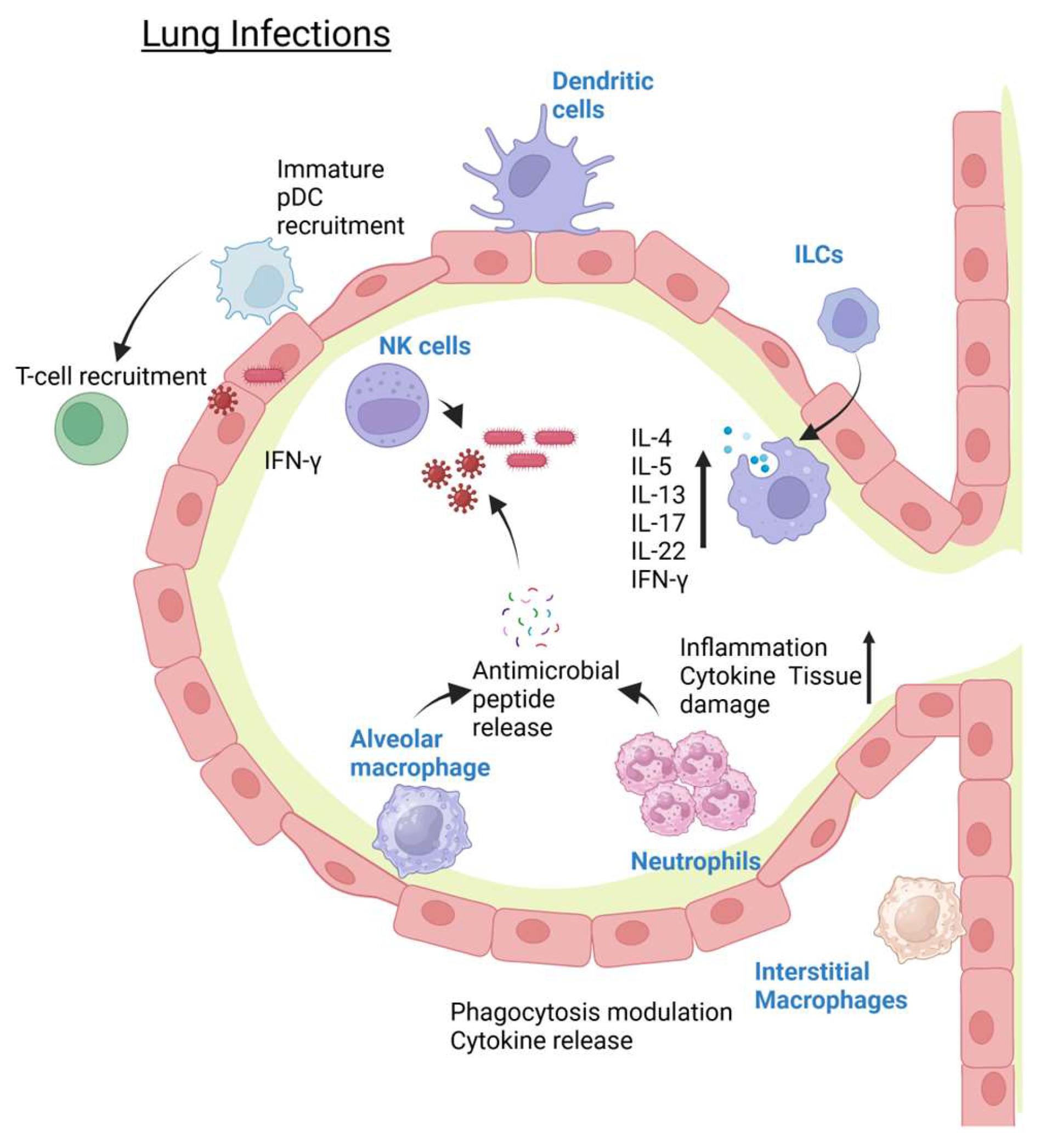 Pathogens 14 00091 g001 Pathogens 14 00091 g001