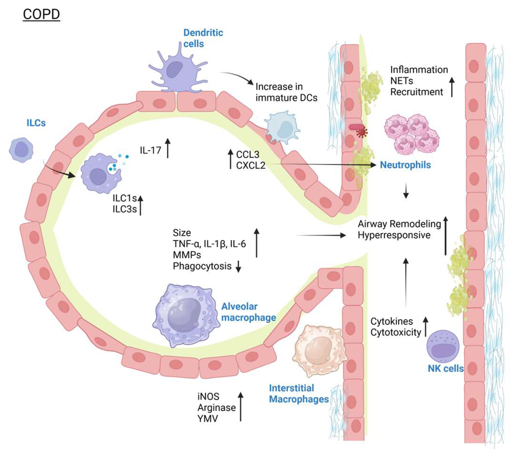 Pathogens 14 00091 g002 Pathogens 14 00091 g002