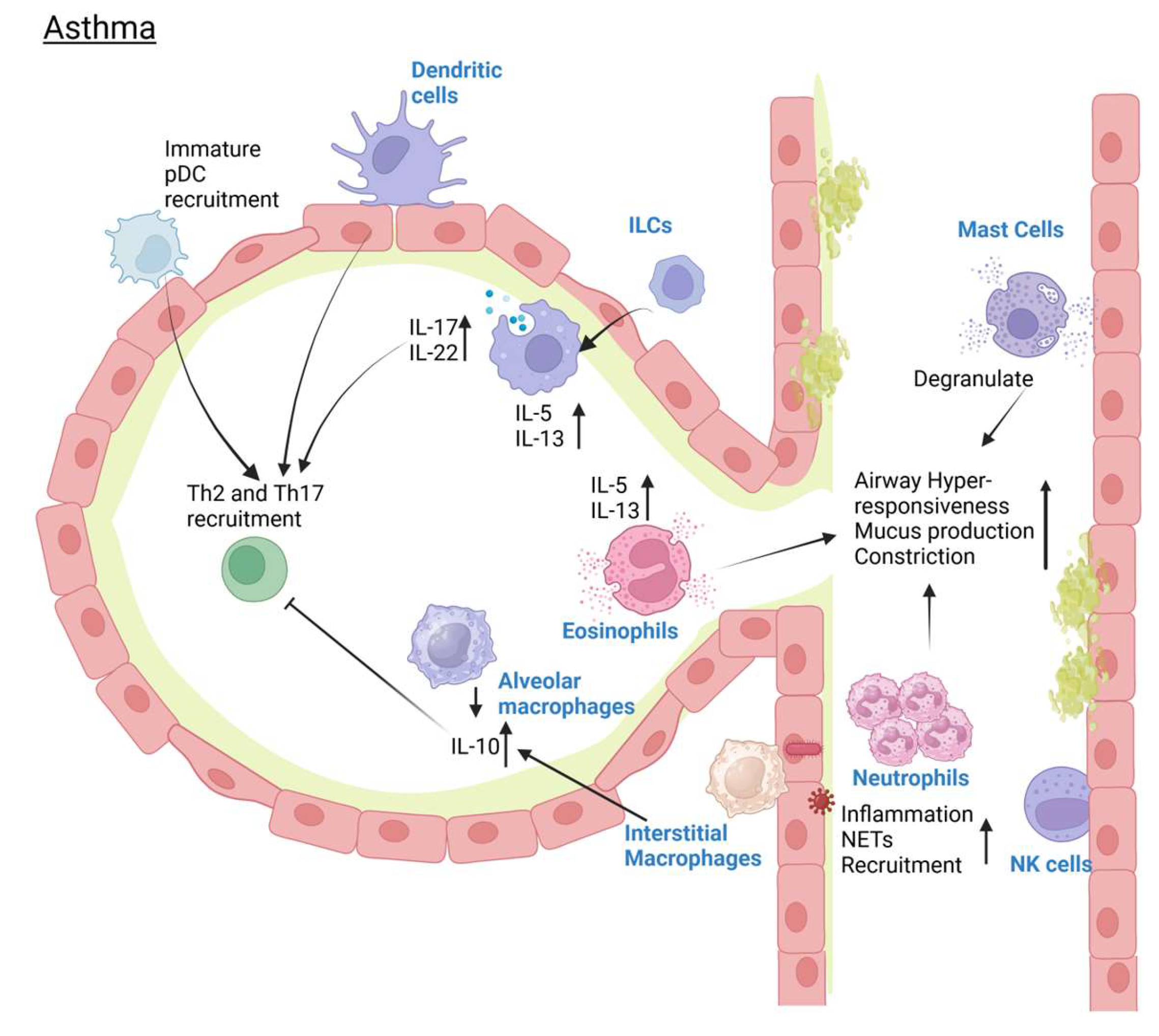 Pathogens 14 00091 g003 Pathogens 14 00091 g003