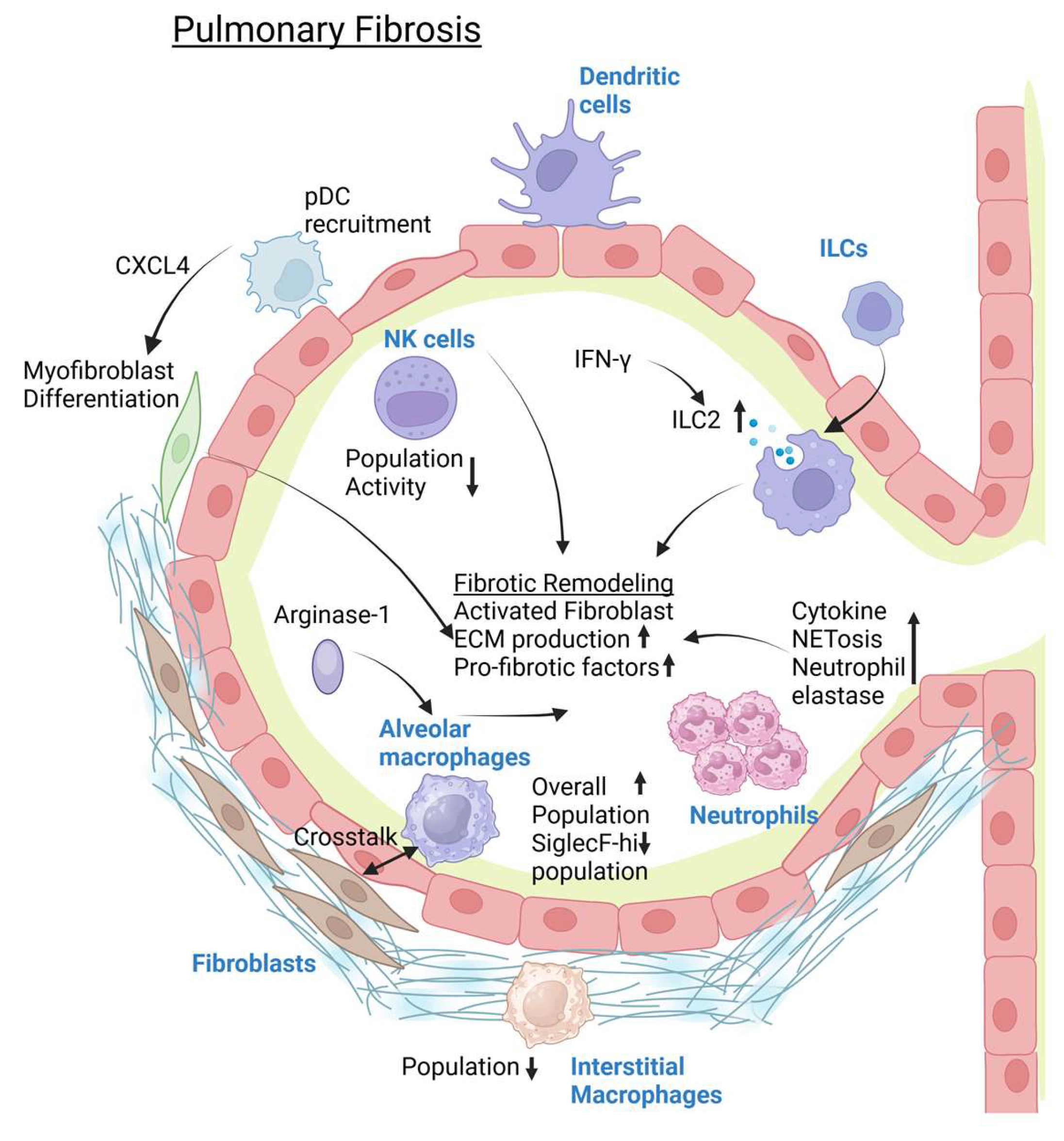 Pathogens 14 00091 g004 Pathogens 14 00091 g004