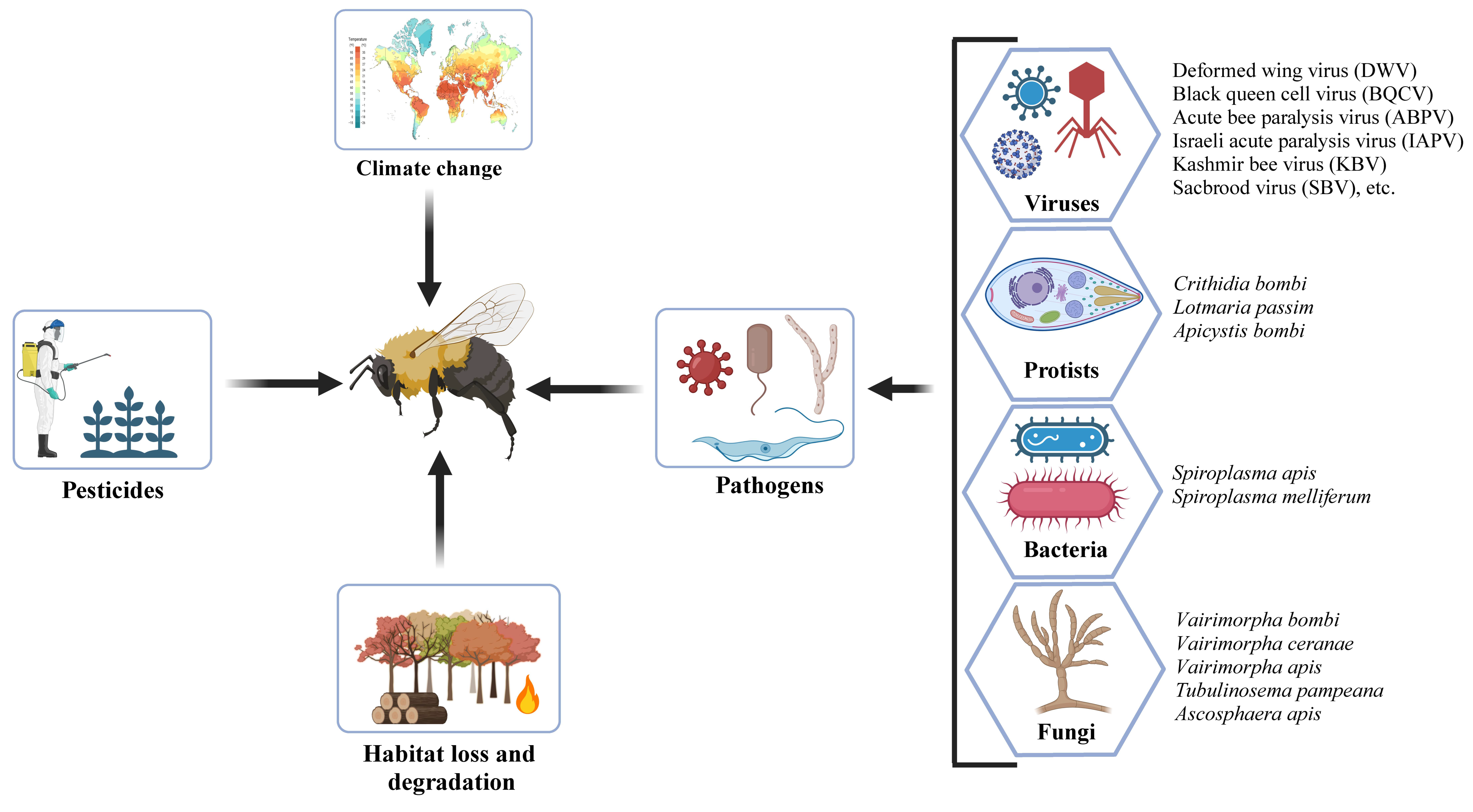 Pathogens 14 00094 g001 Pathogens 14 00094 g001
