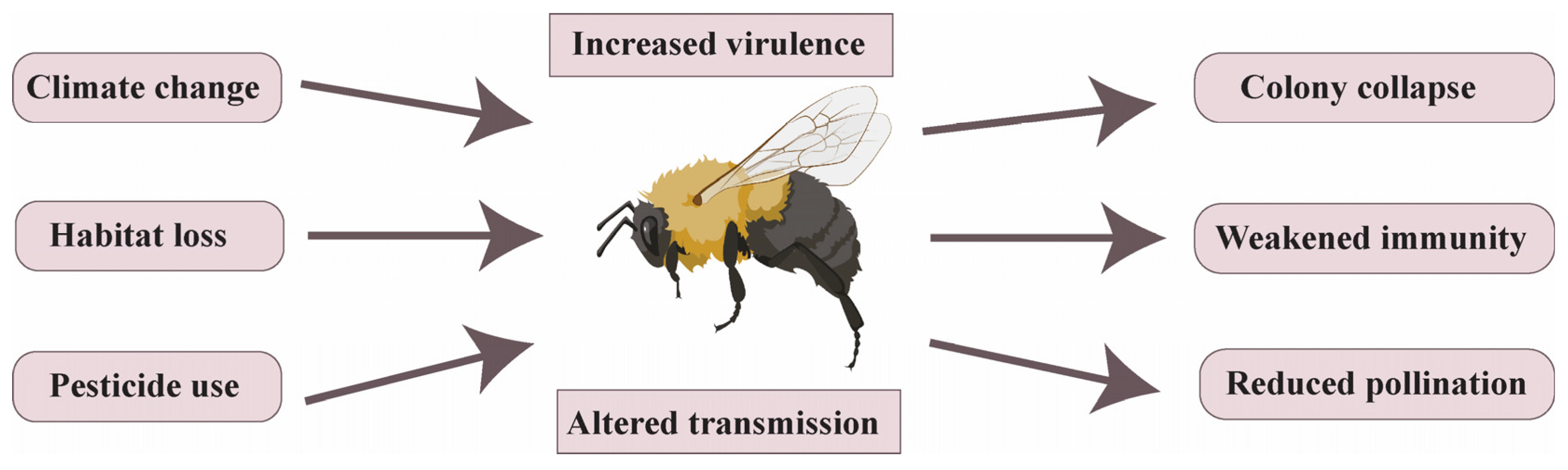 Pathogens 14 00094 g005 Pathogens 14 00094 g005