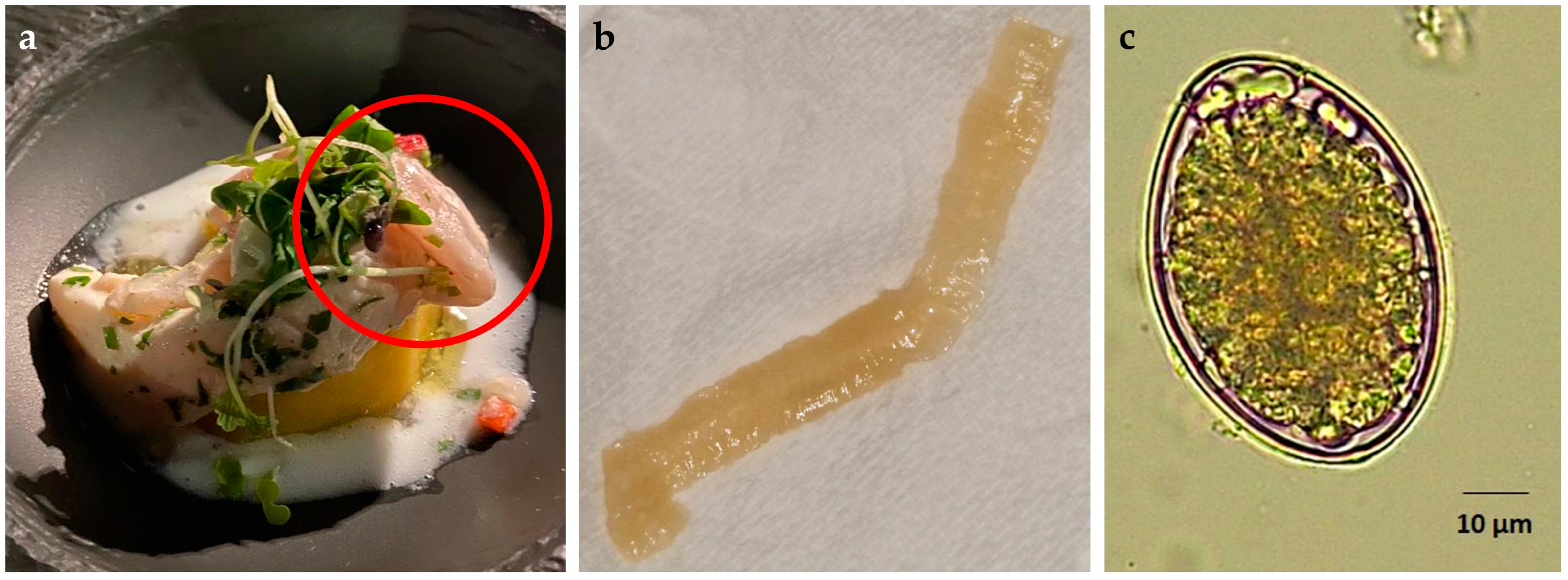 Pathogens 14 00100 g002