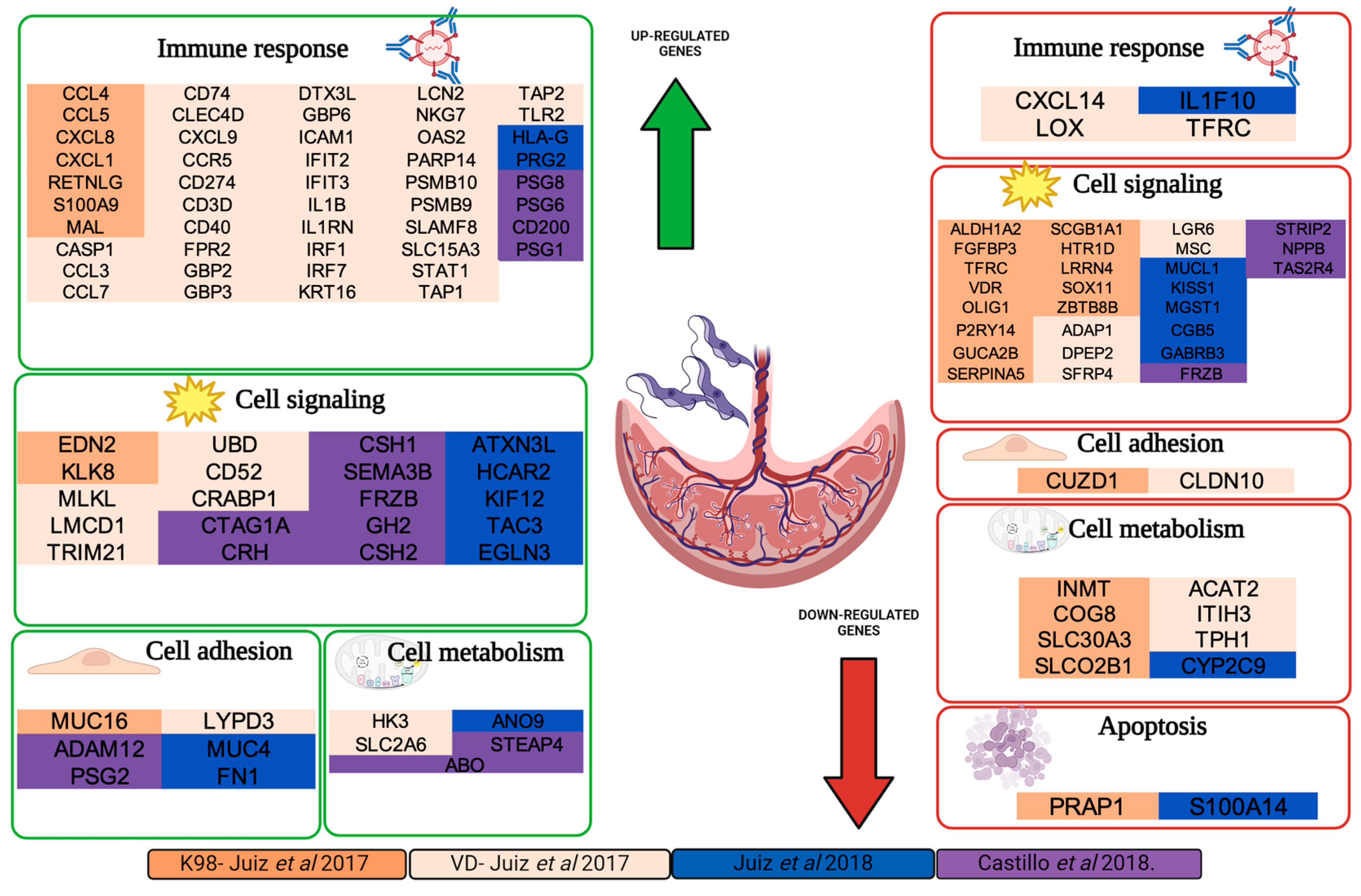 Pathogens 14 00106 g003