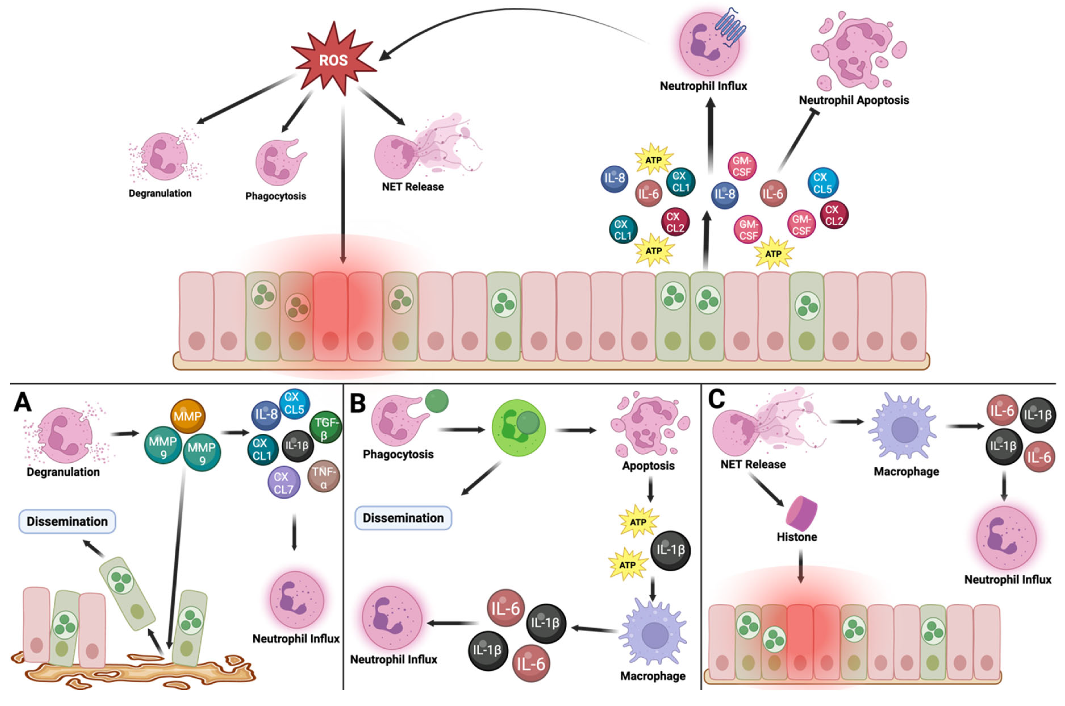 Pathogens 14 00112 g001 Pathogens 14 00112 g001