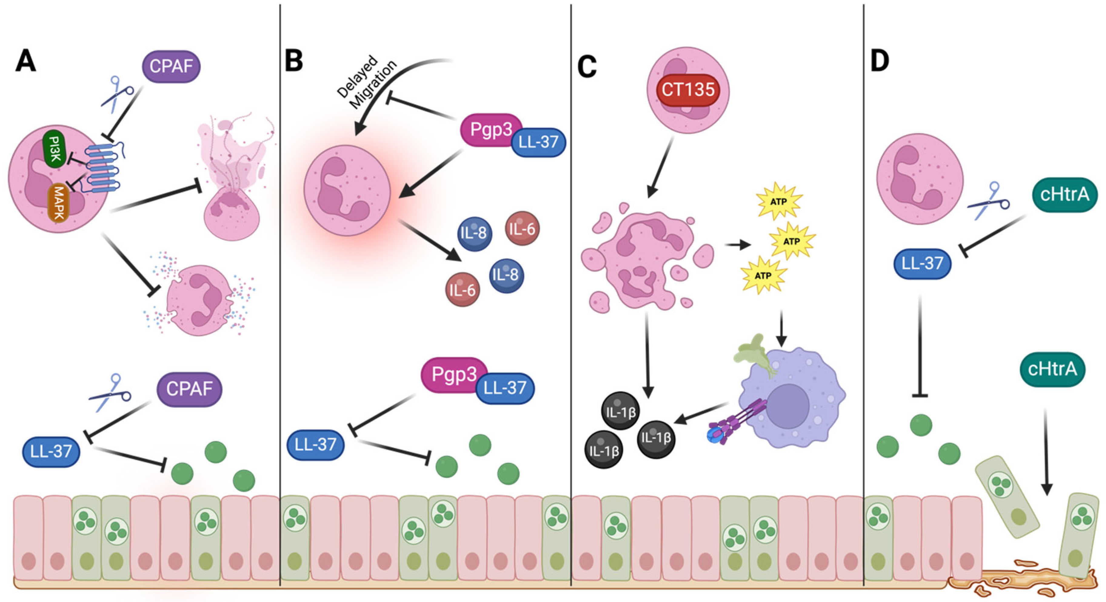Pathogens 14 00112 g003 Pathogens 14 00112 g003