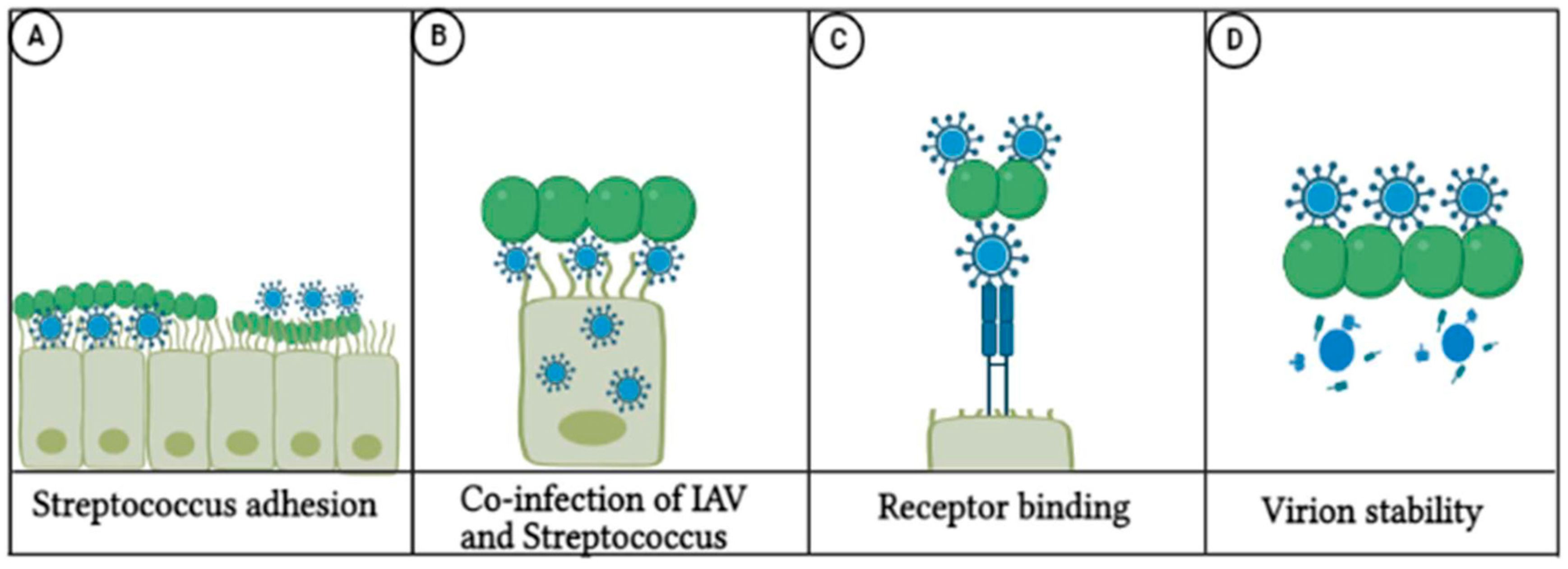 Pathogens 14 00114 g003 Pathogens 14 00114 g003