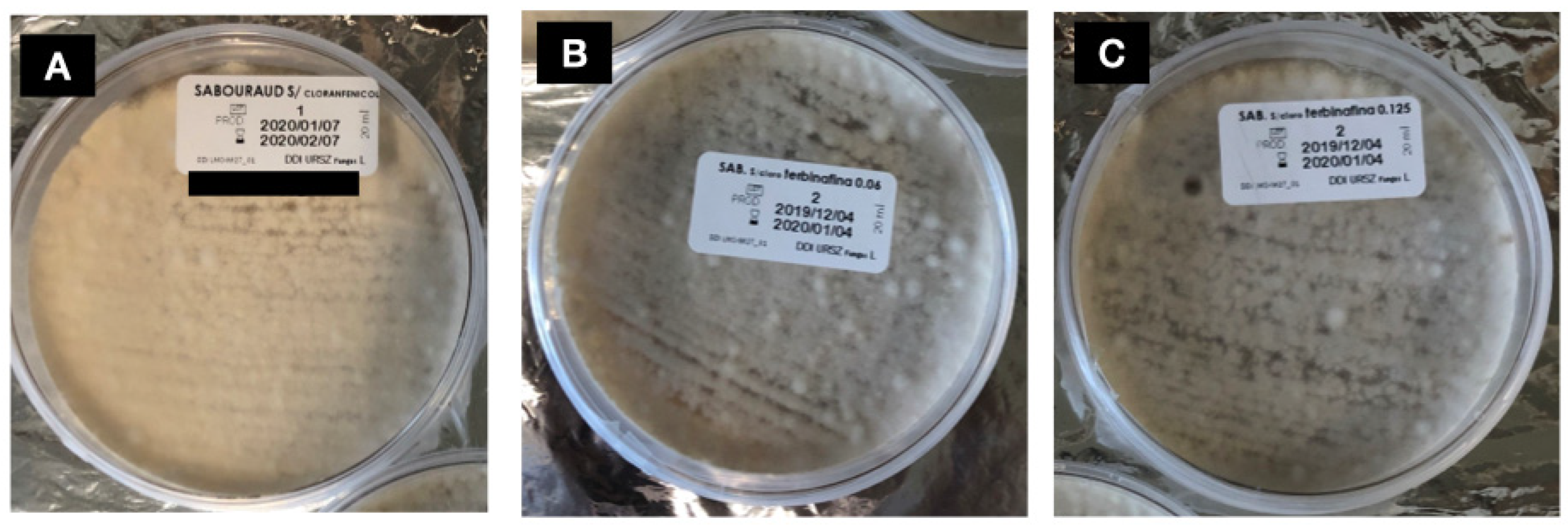 Pathogens 14 00115 g002
