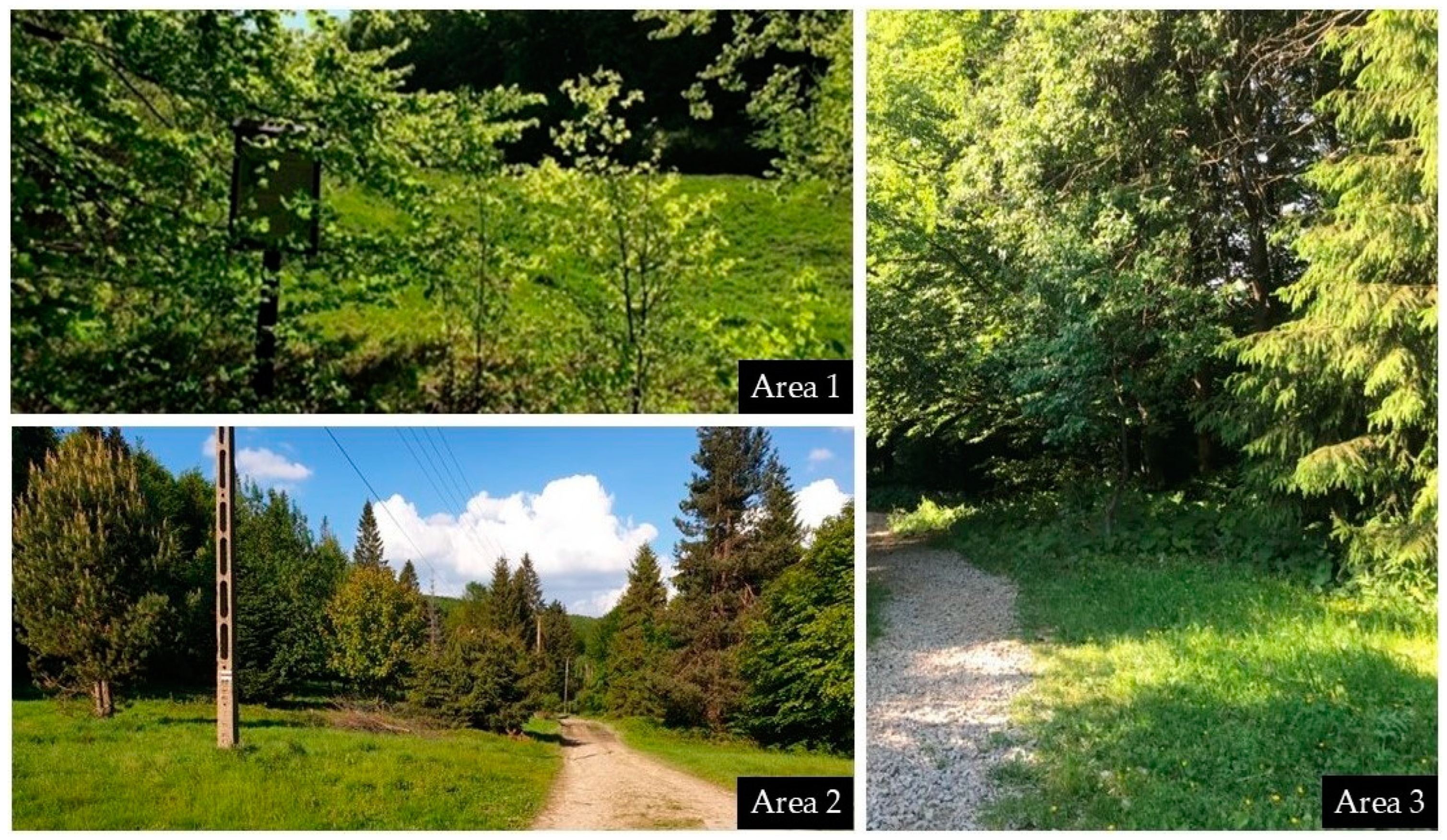 Pathogens 14 00117 g001