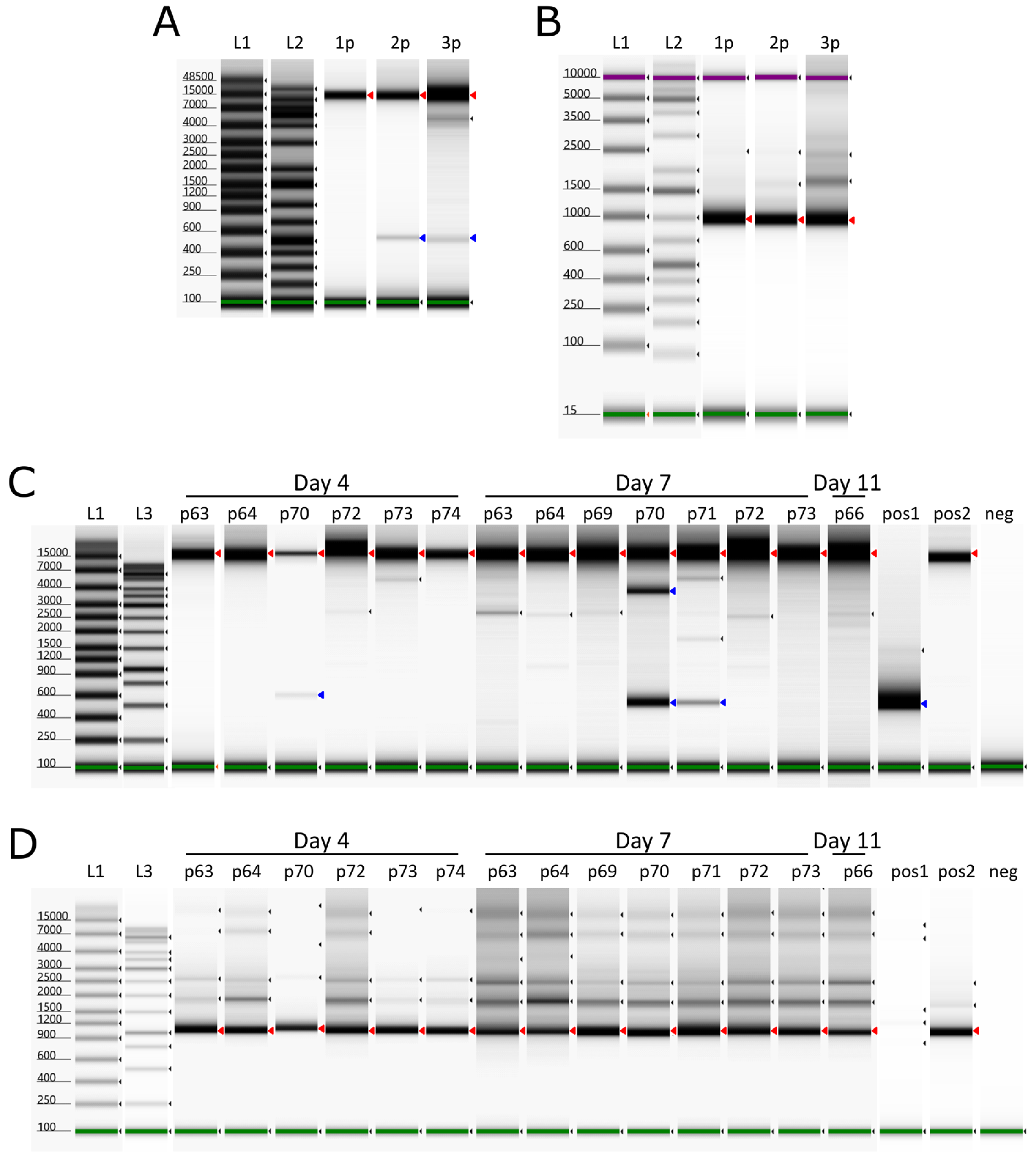 Pathogens 14 00119 g004