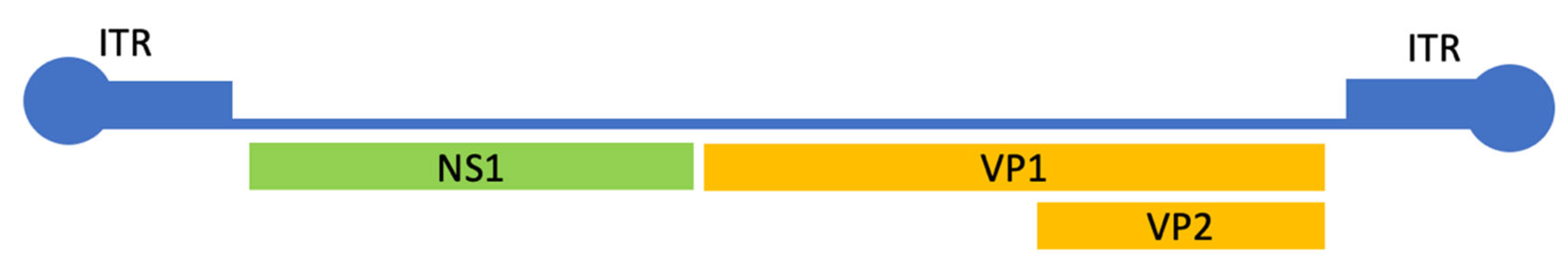 Pathogens 14 00121 g001