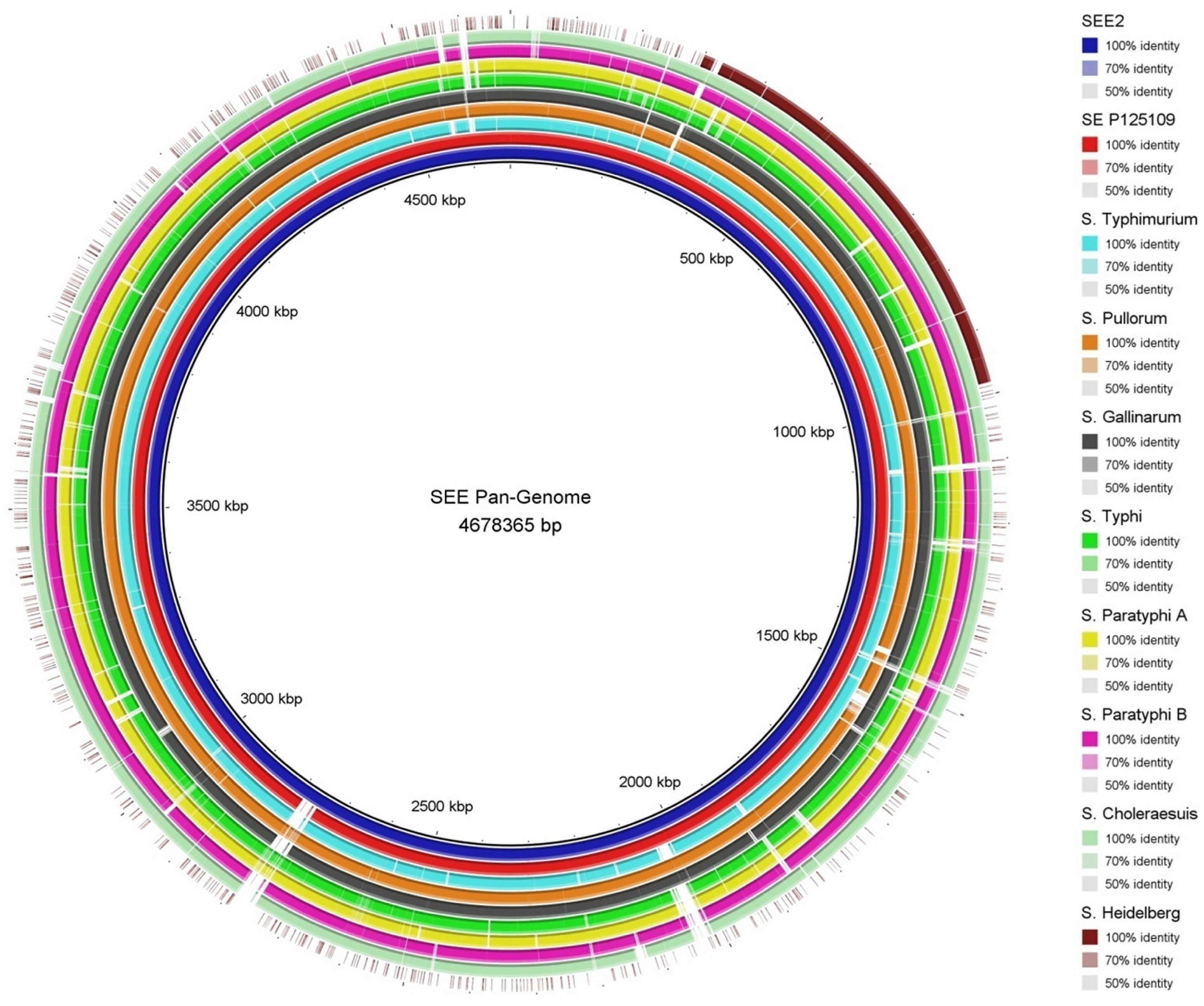 Pathogens 14 00128 g004