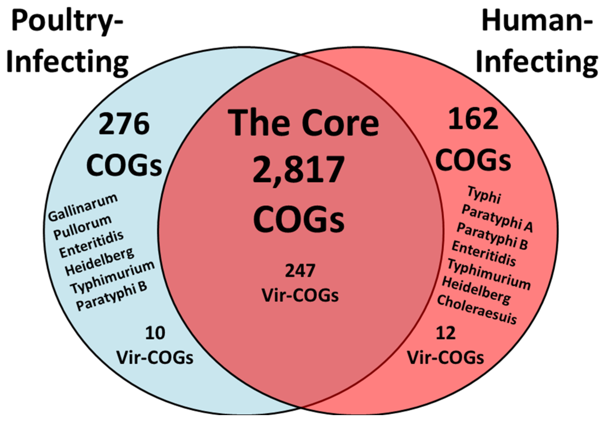 Pathogens 14 00128 g006