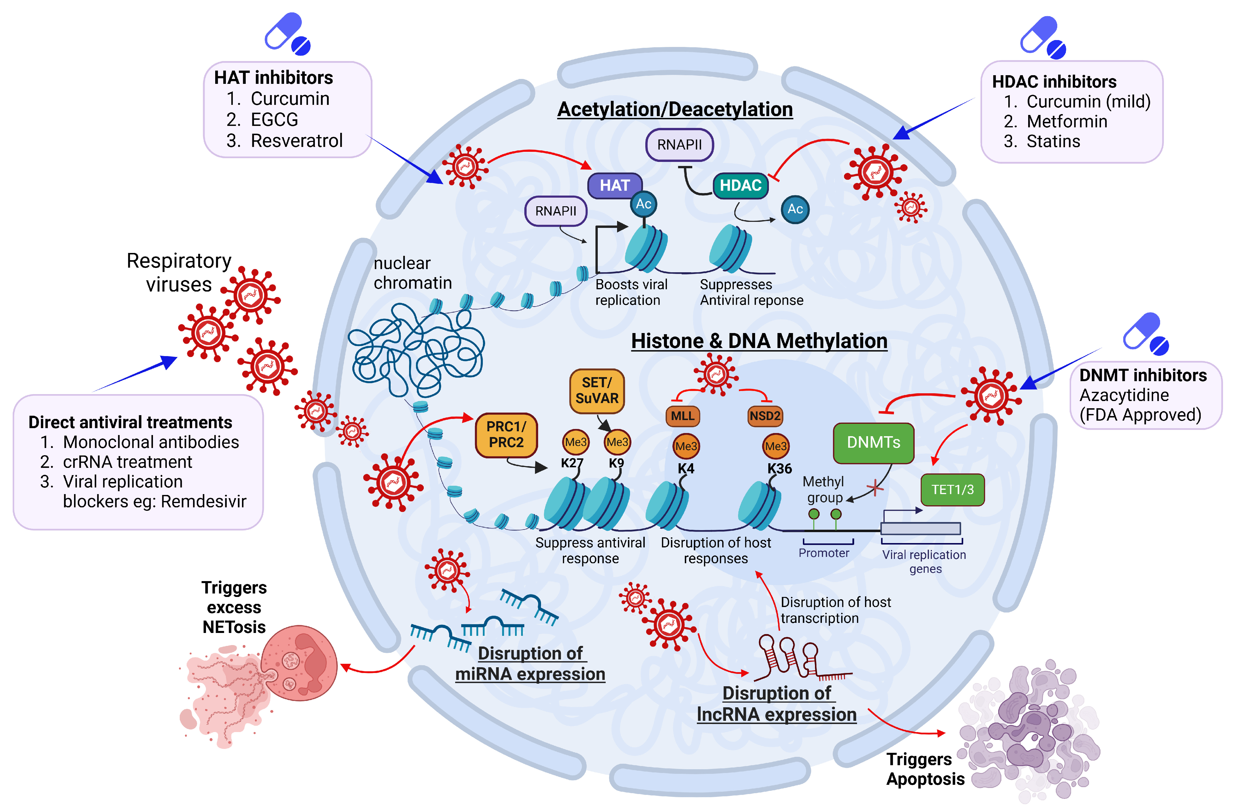 Pathogens 14 00129 g002