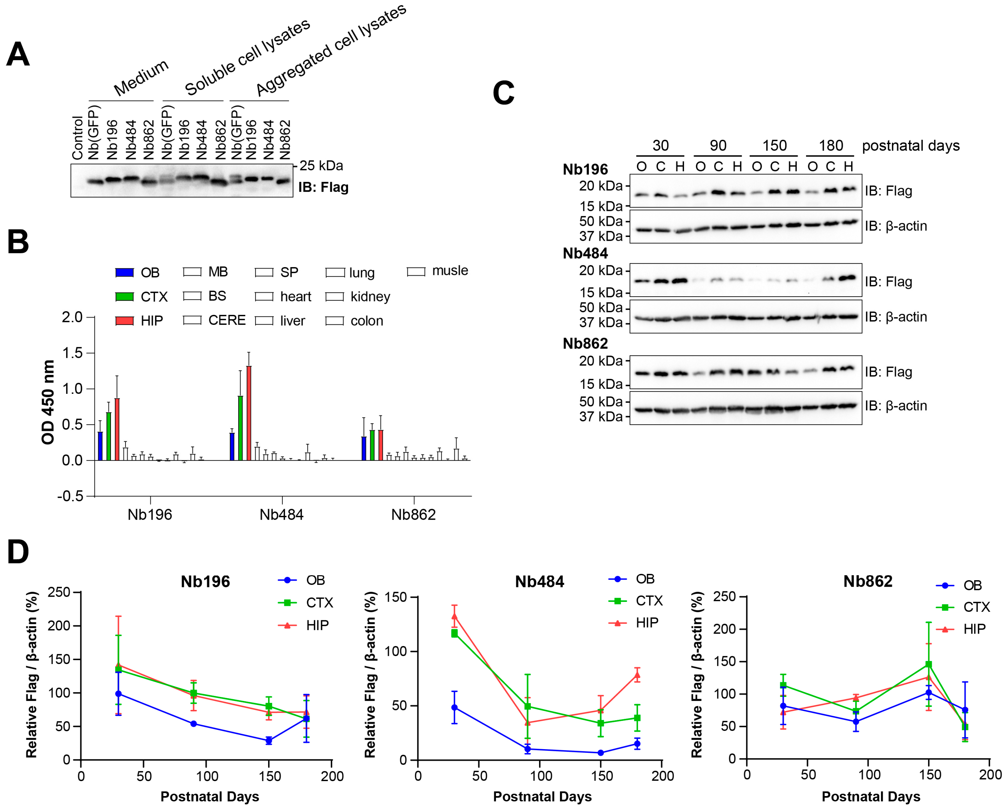 Pathogens 14 00131 g001 Pathogens 14 00131 g001
