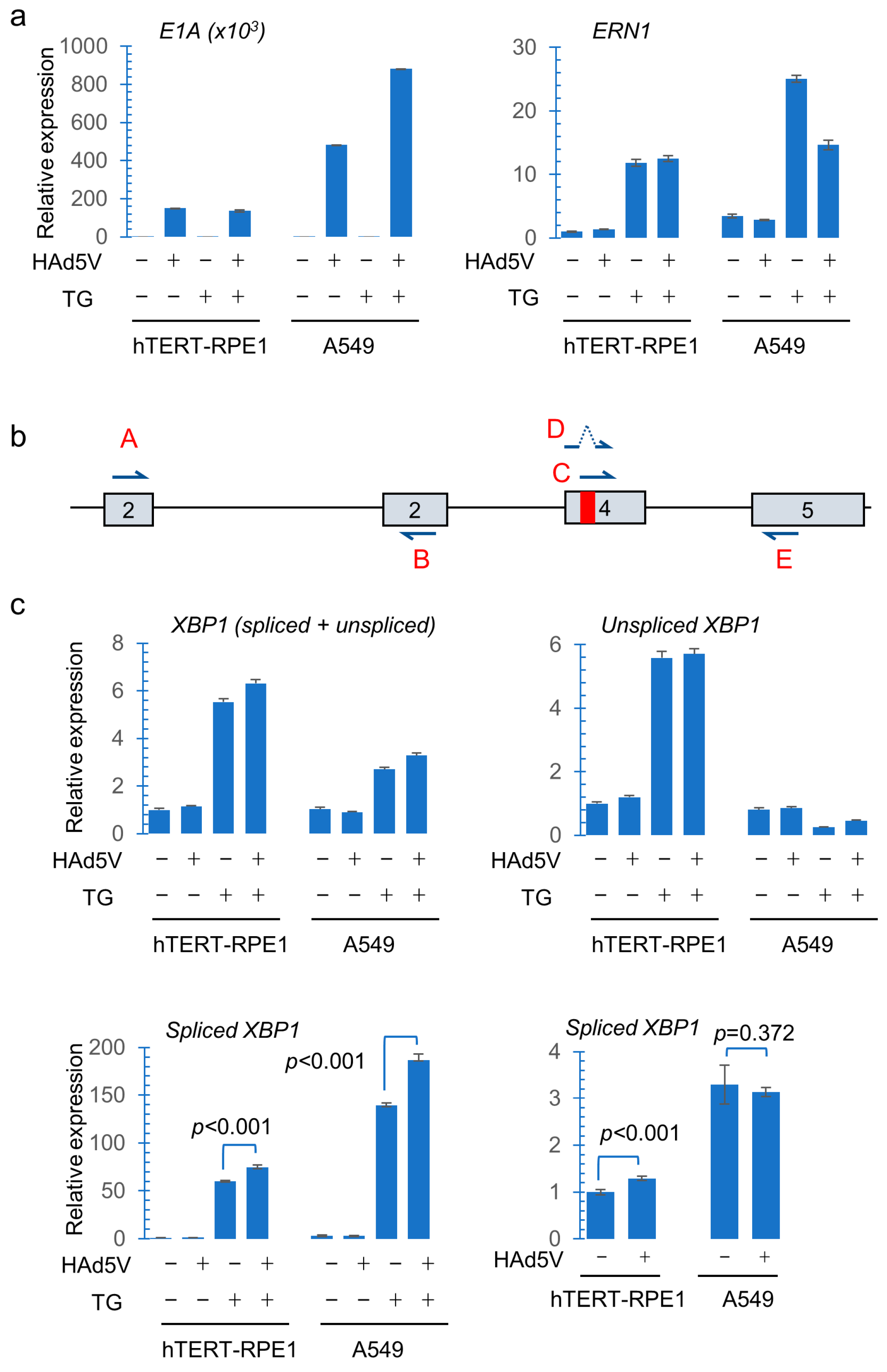 Pathogens 14 00132 g003