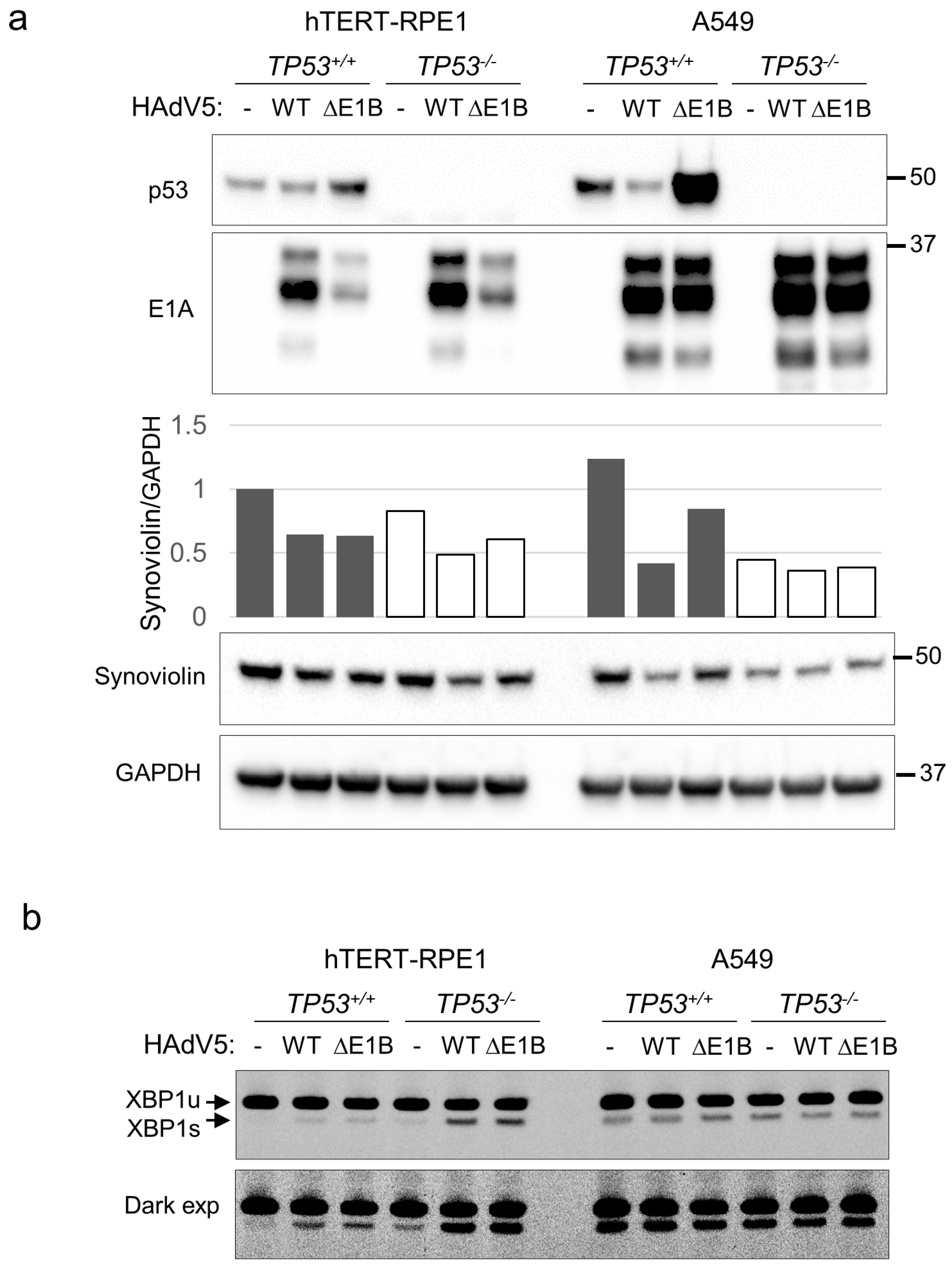 Pathogens 14 00132 g005