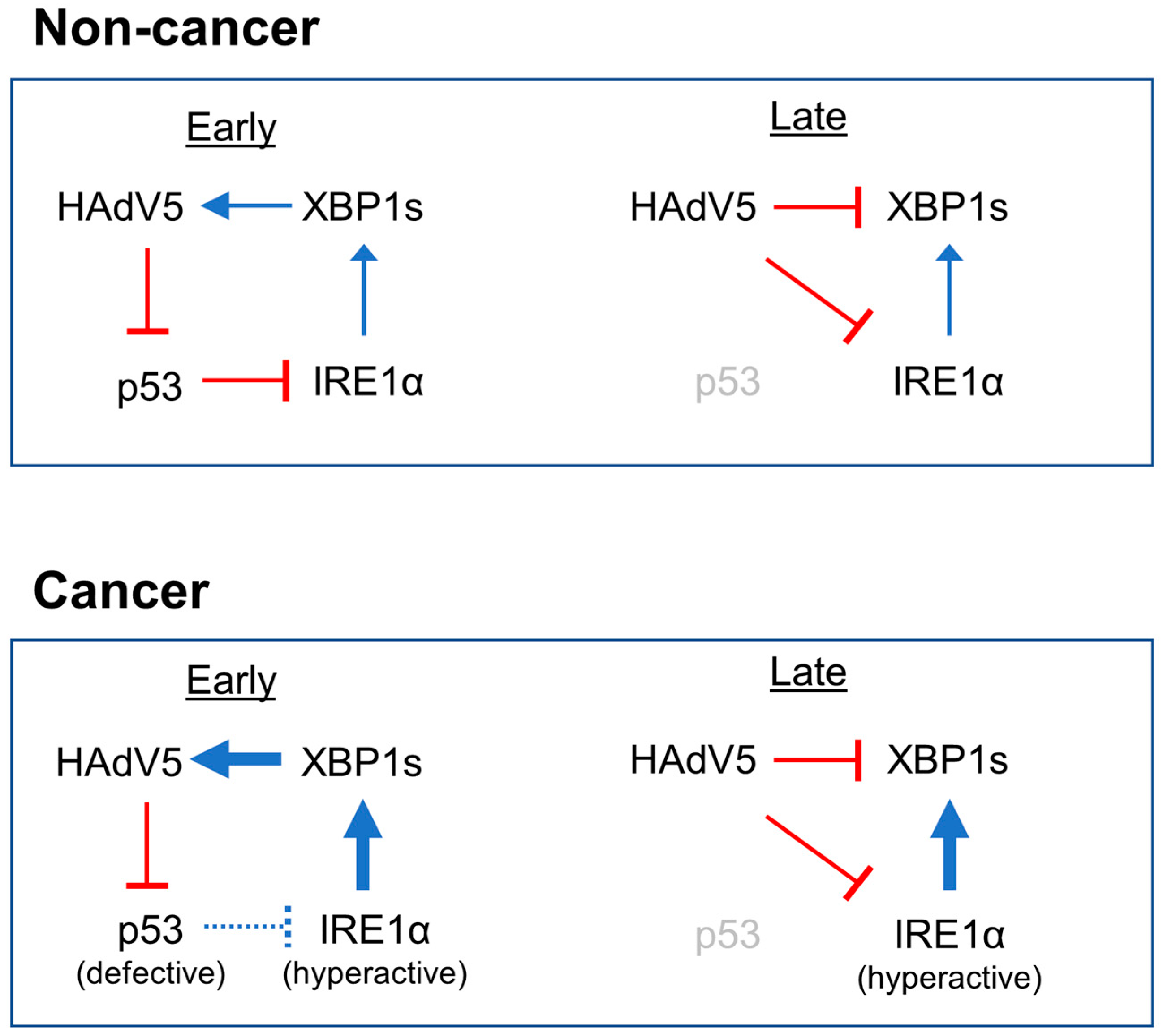 Pathogens 14 00132 g006
