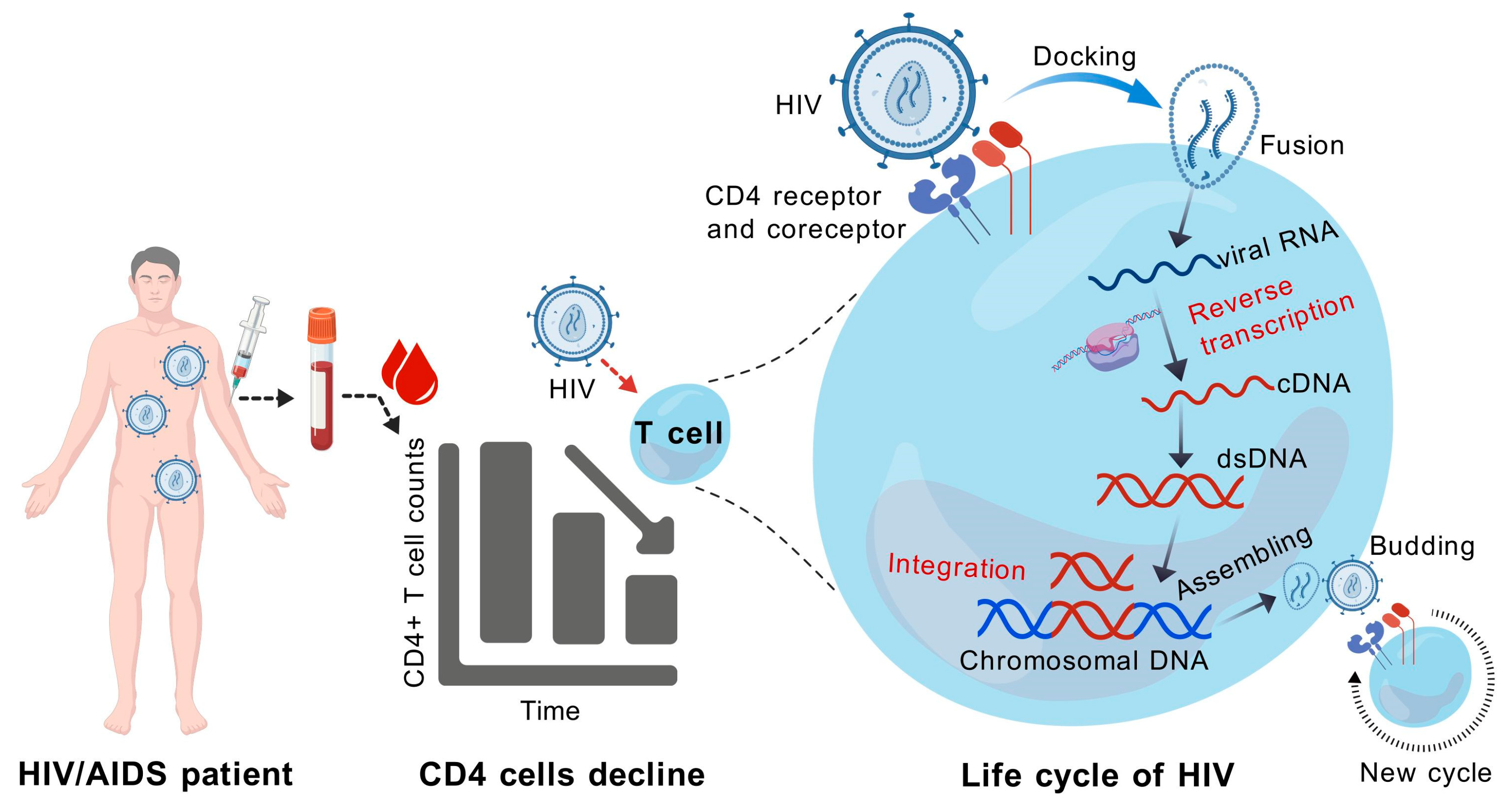Pathogens 14 00134 g002