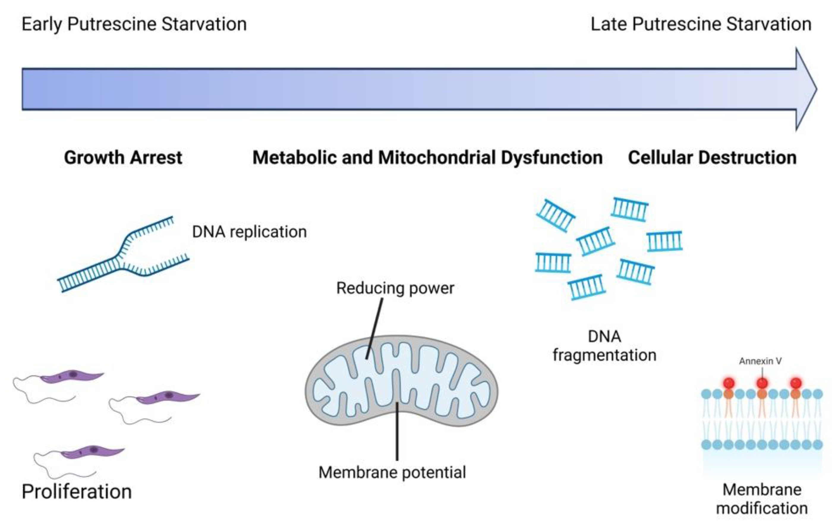 Pathogens 14 00137 g008