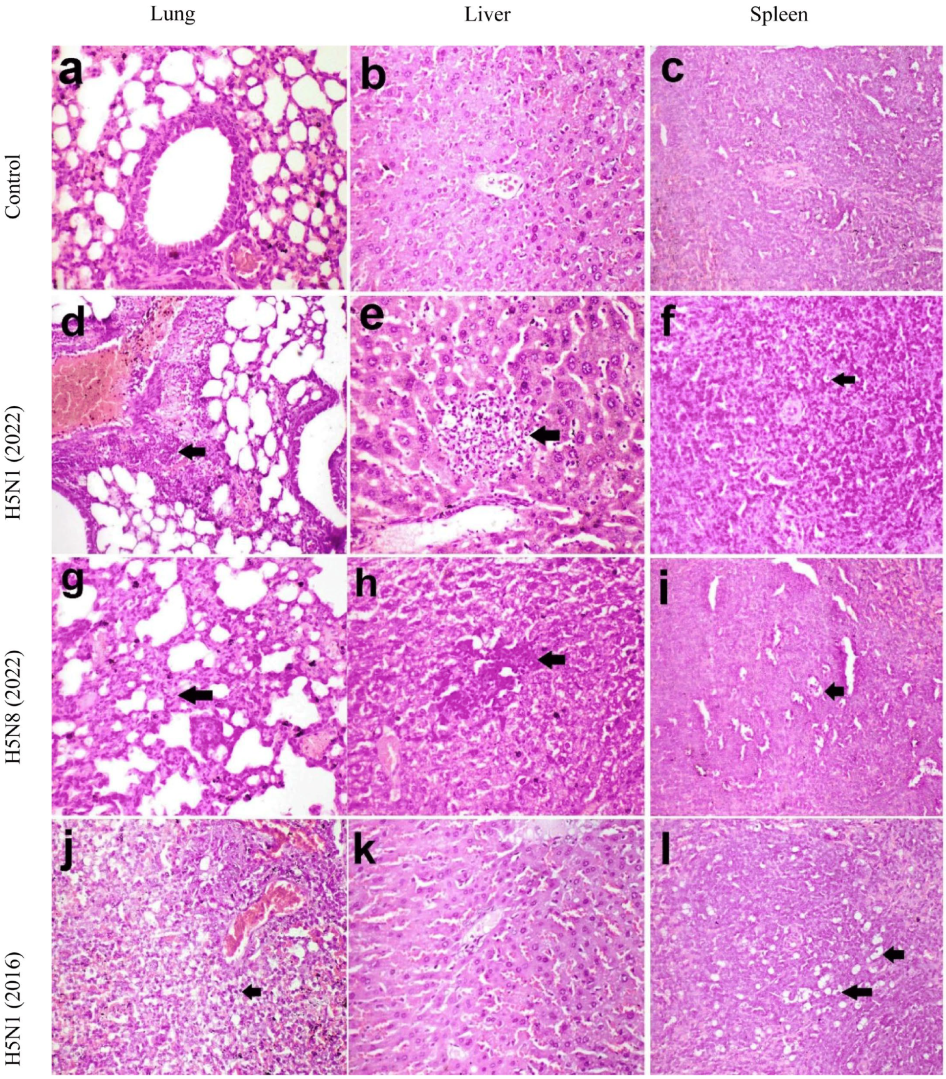 Pathogens 14 00149 g006