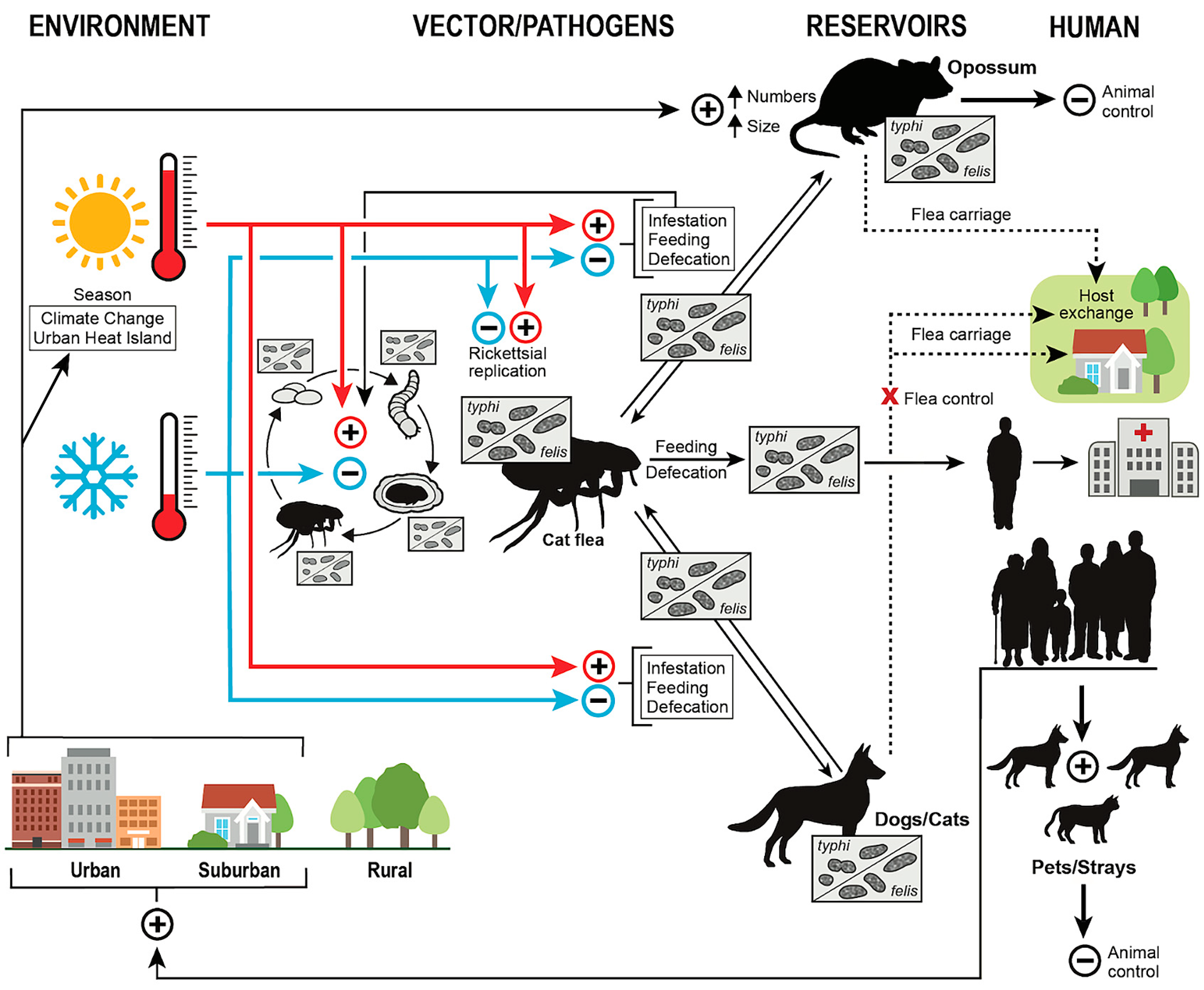 Pathogens 14 00154 g009 Pathogens 14 00154 g009