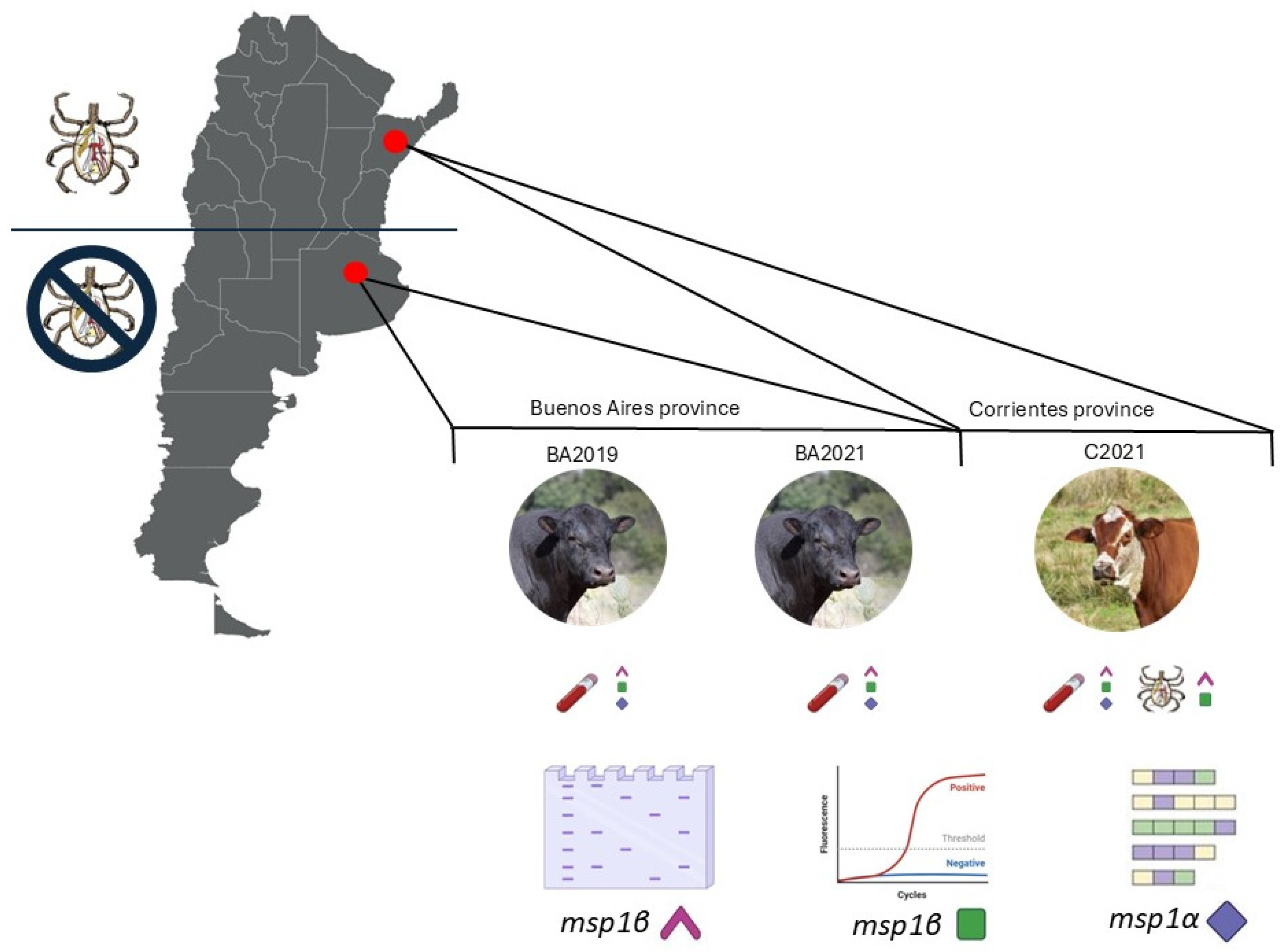 Pathogens 14 00160 g001 Pathogens 14 00160 g001